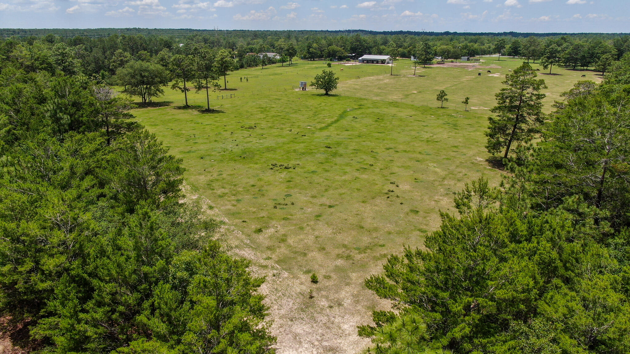 LOT 43 DELAWARE PLANTATIONS S/D PHASE TWO - Farm