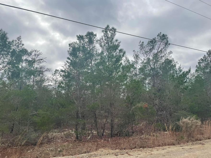 Double lot being sold together but also available for individual purchase for $10,000. Located in Mossy Head off of Girl Scout Rd.