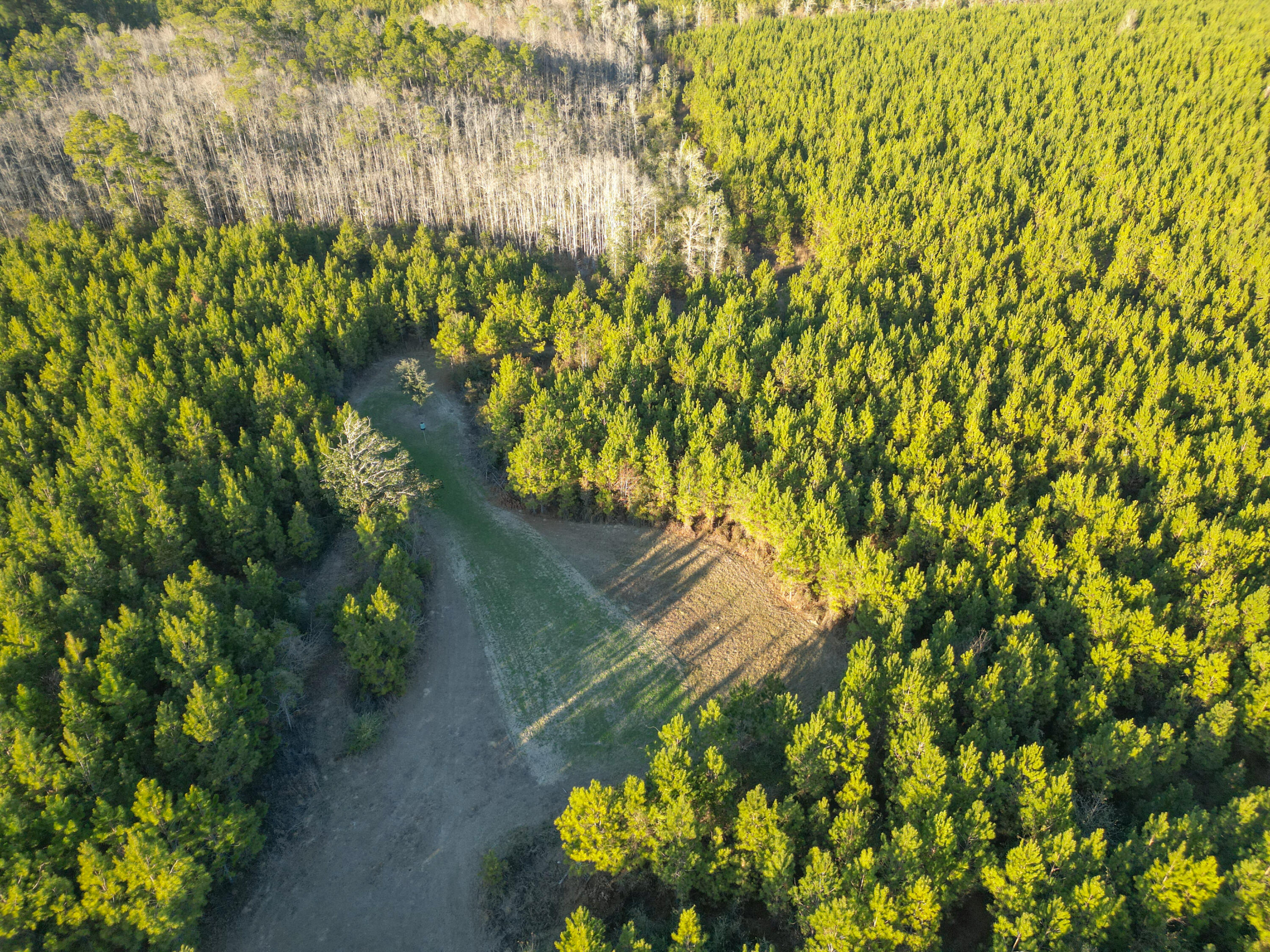 METES & BOUNDS - Land