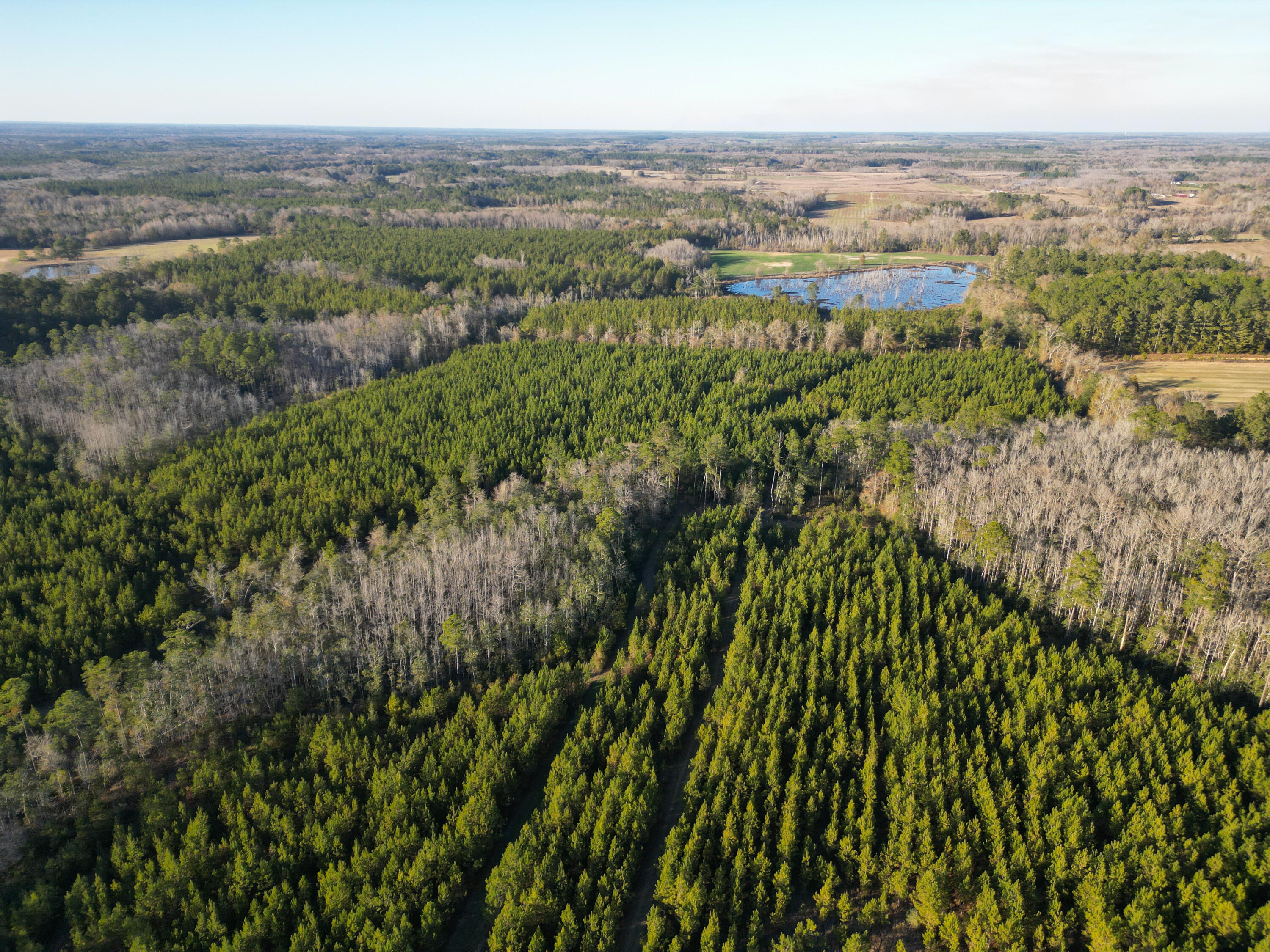 METES & BOUNDS - Land