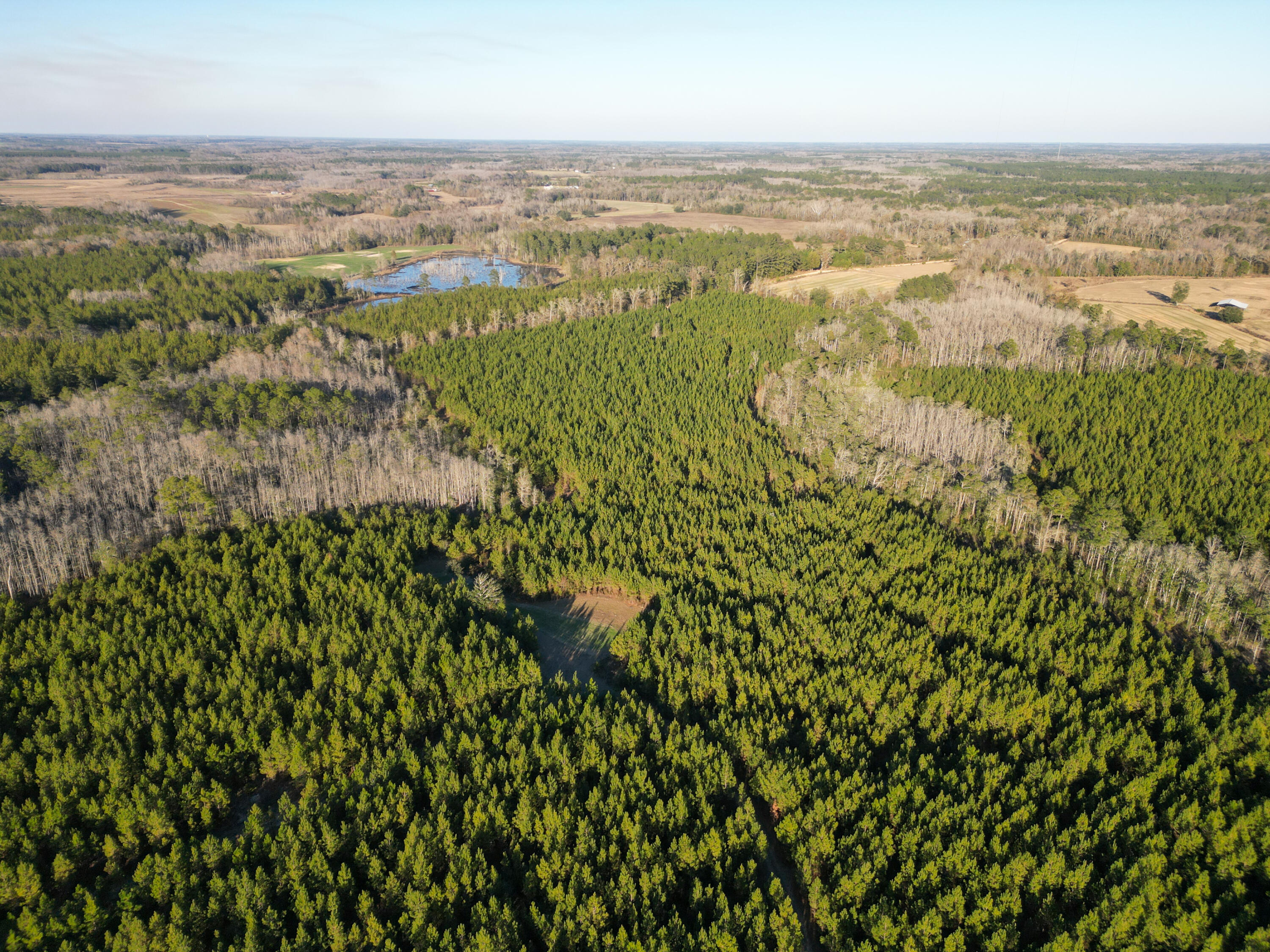 METES & BOUNDS - Land