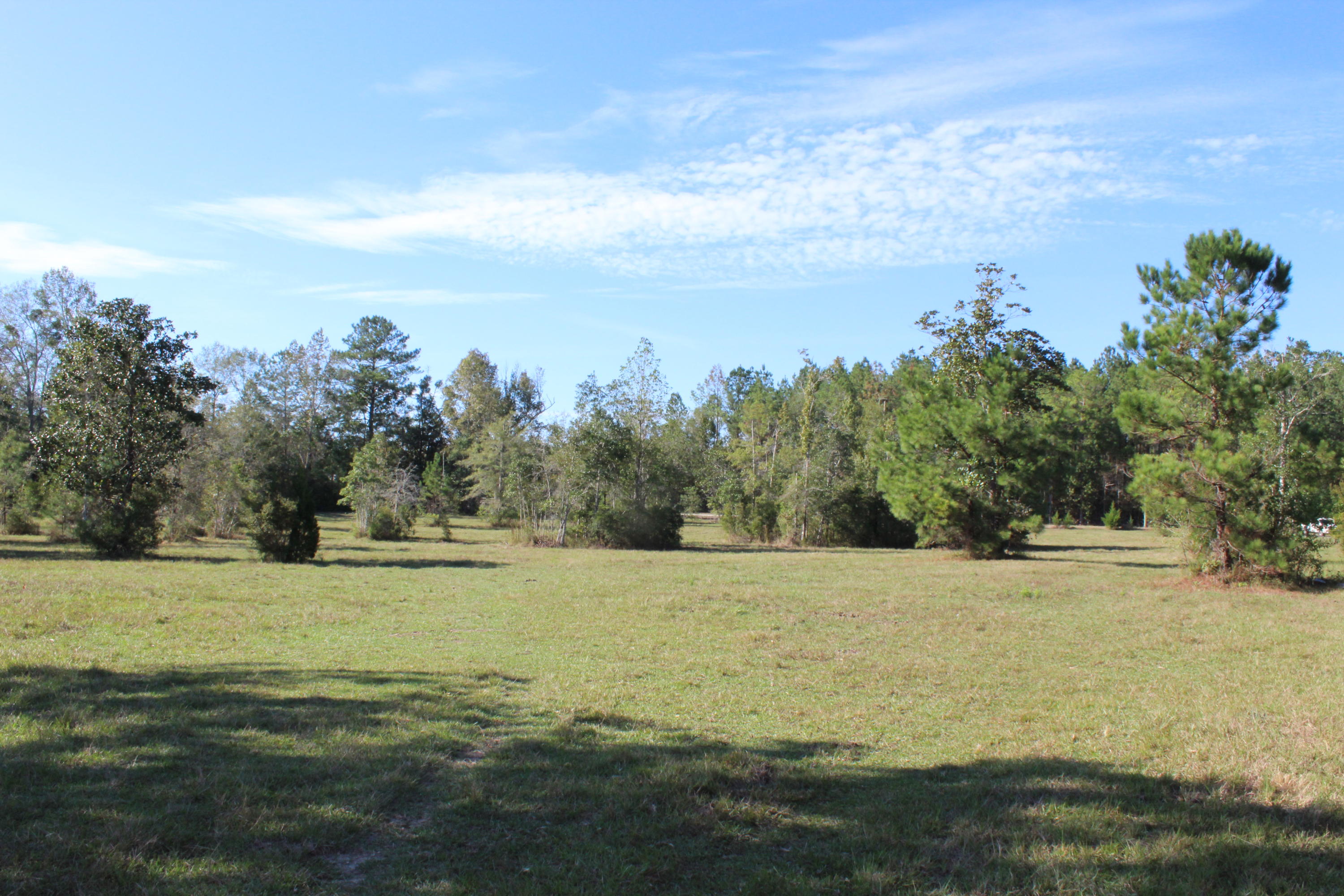 Bump's Ranch - Residential