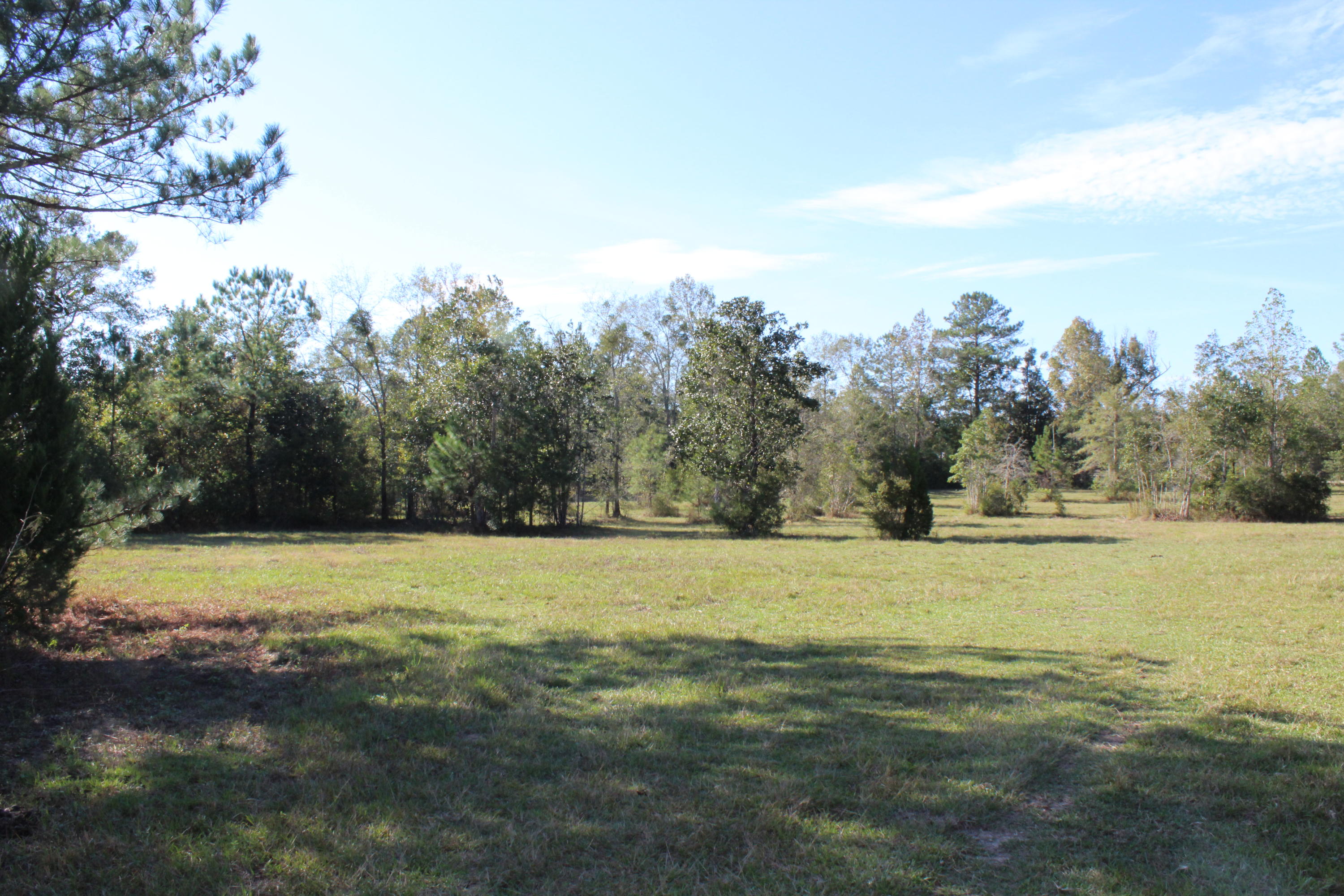 Bump's Ranch - Residential