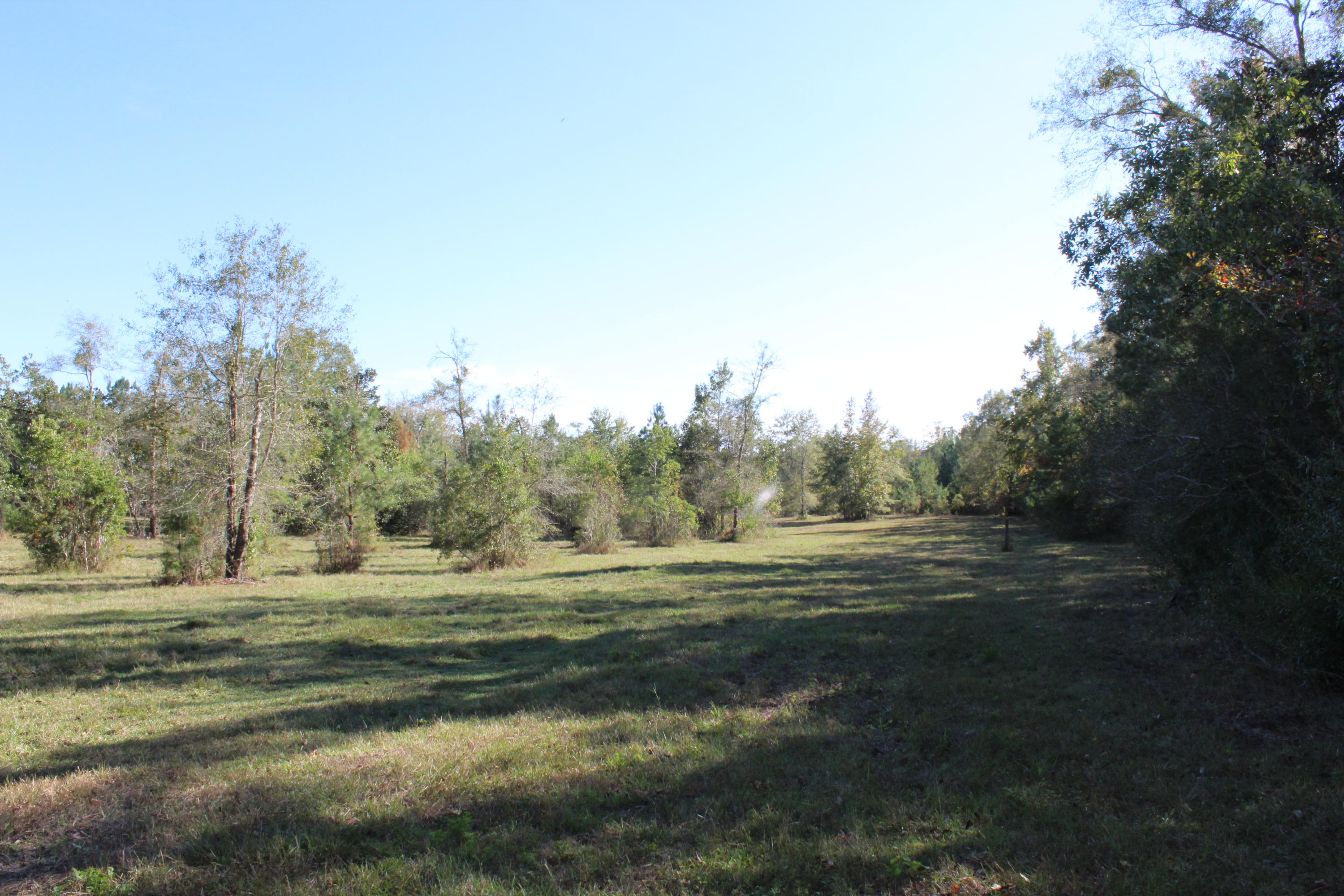 Bump's Ranch - Residential