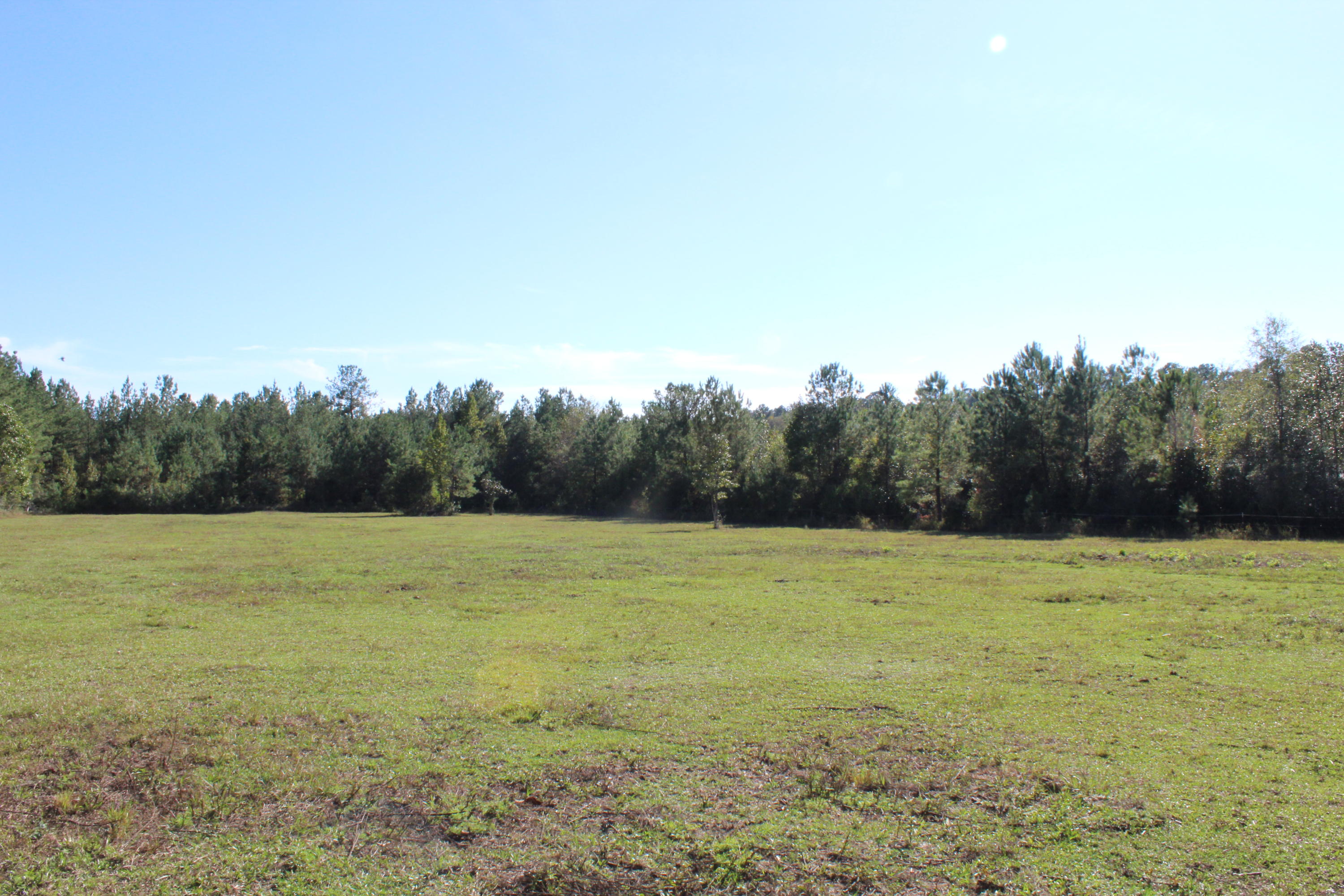 Bump's Ranch - Residential