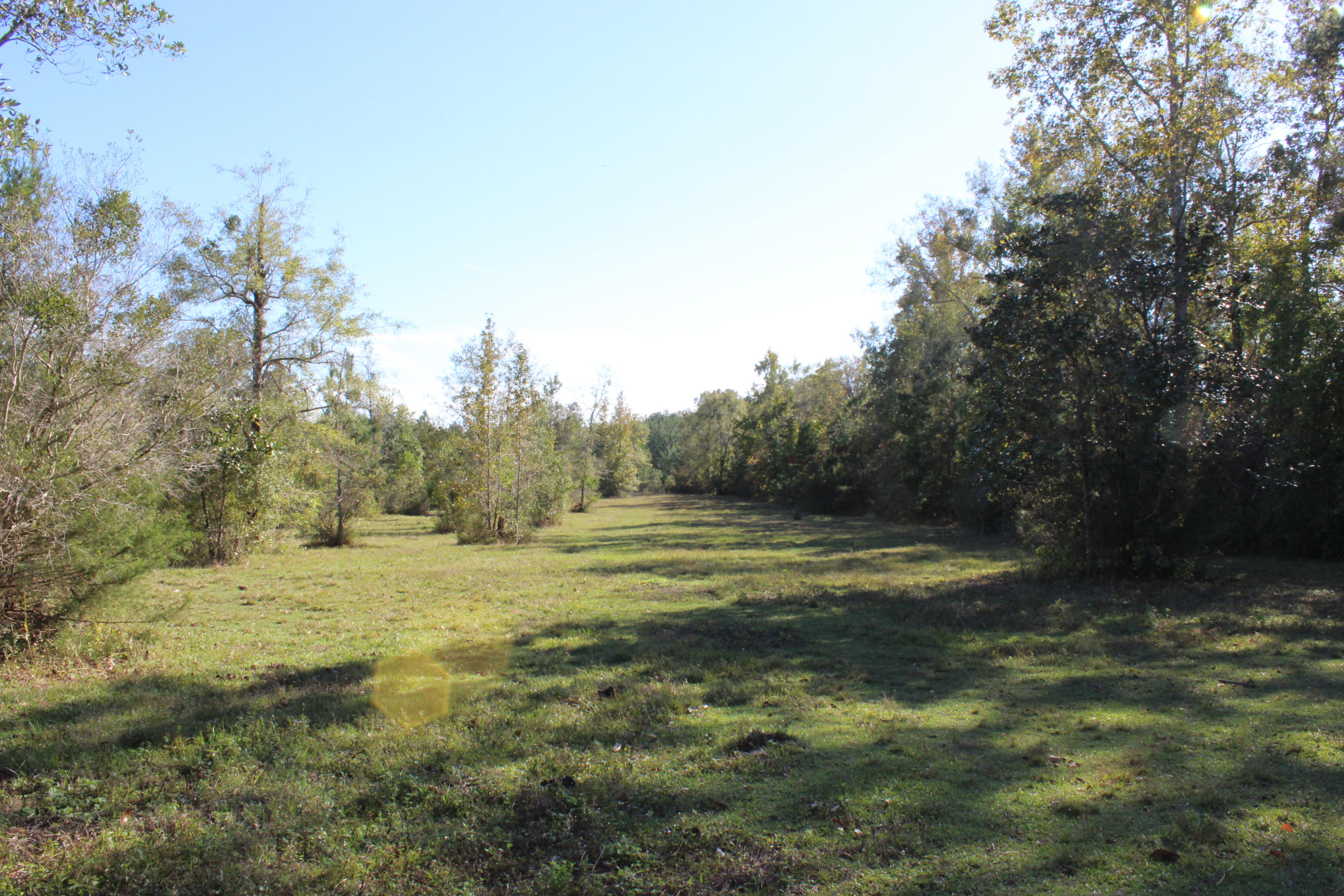 Bump's Ranch - Residential