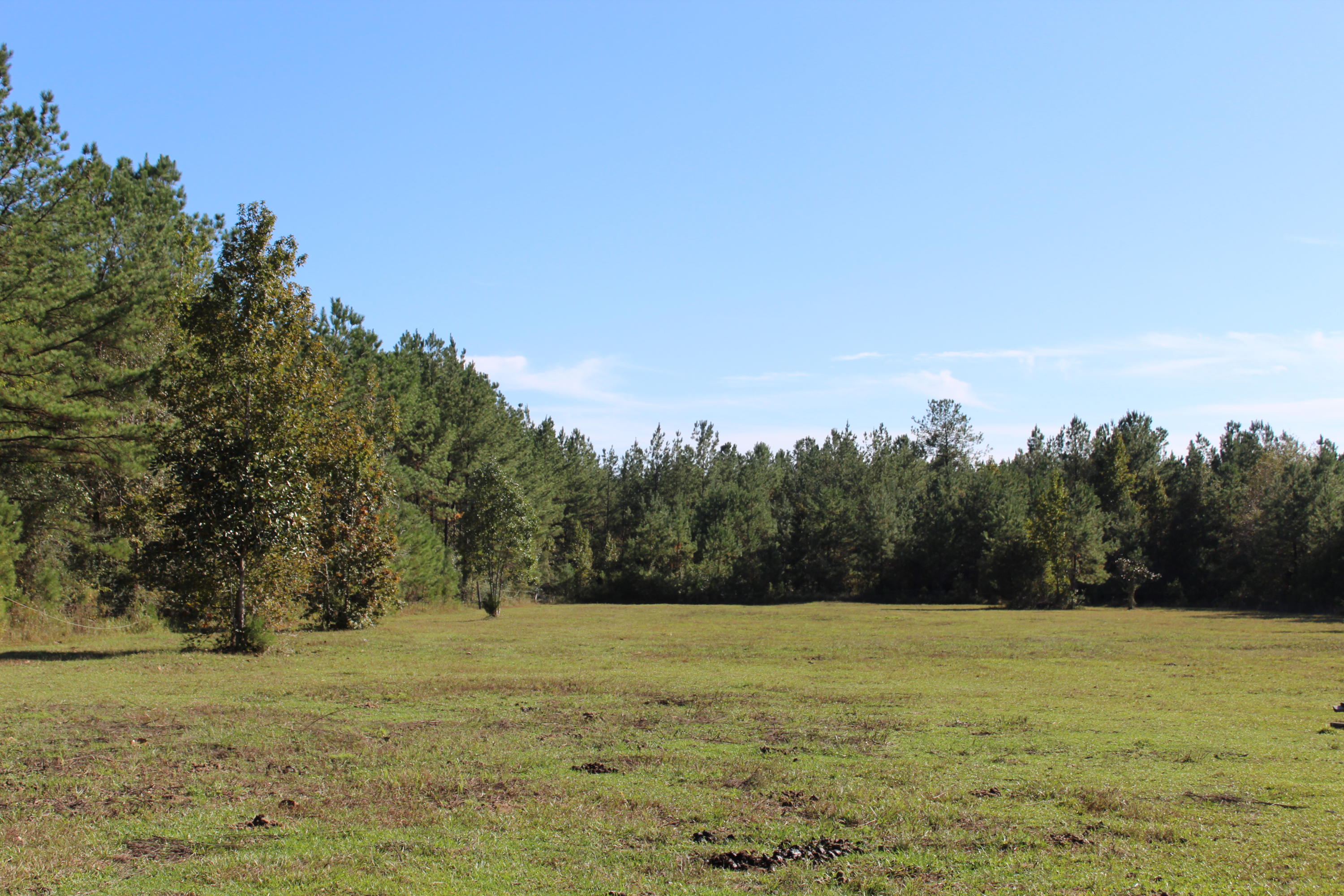 Bump's Ranch - Residential