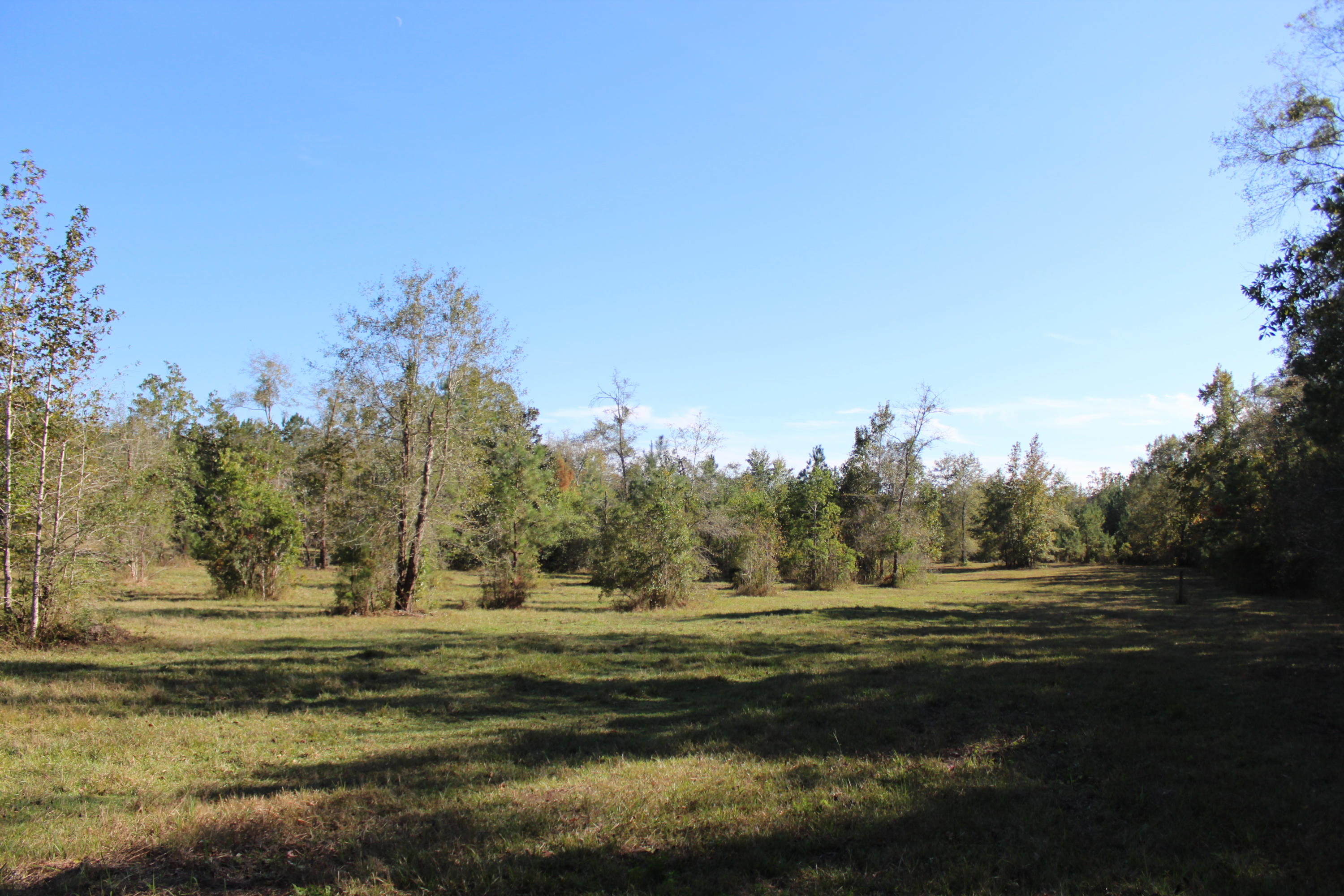 Bump's Ranch - Residential