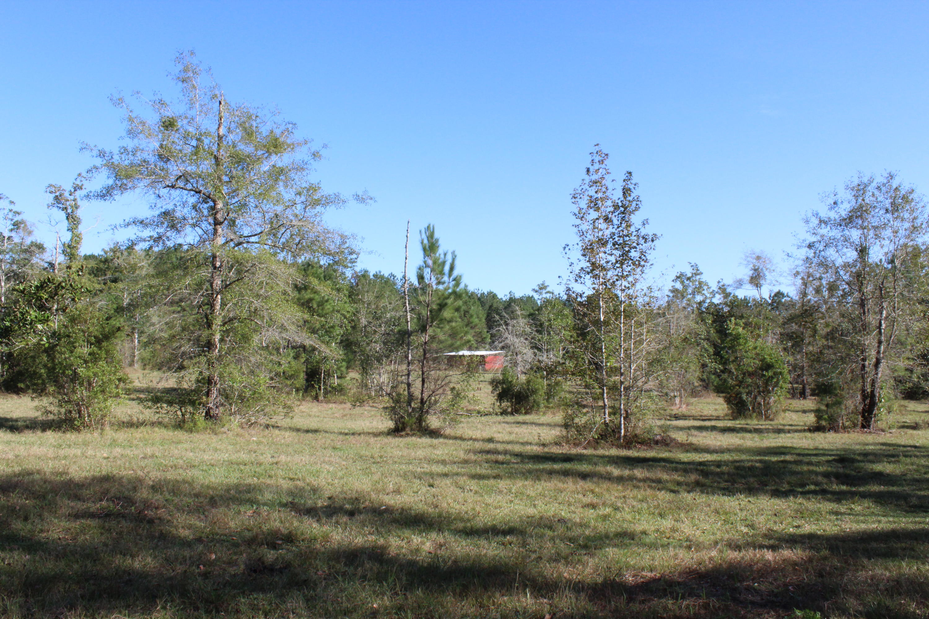 Bump's Ranch - Residential
