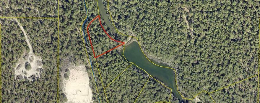 350 feet of waterfront on a beautiful, peaceful lakefront property.  There are no motorized vessels/boats/jet skis/etc. allowed on the water. Only people powered vessels like a canoe or row boat. Lot slopes from road down to lake.  Build your home or vacation home on this lakefront property.  Watch the deer drinking water at the lake.