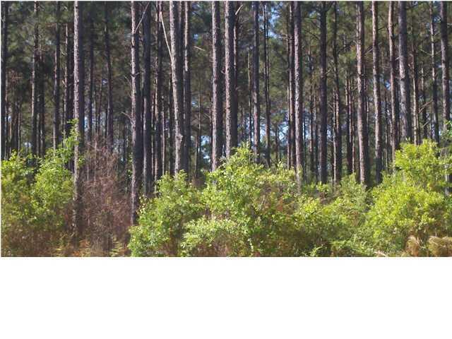 2997 acre timber tract with merchantable timber covering the whole property. property is located across from the 6000 acre Walton Plantation Development. This property has lots of road frontage.Several streams cross this large timber tract.