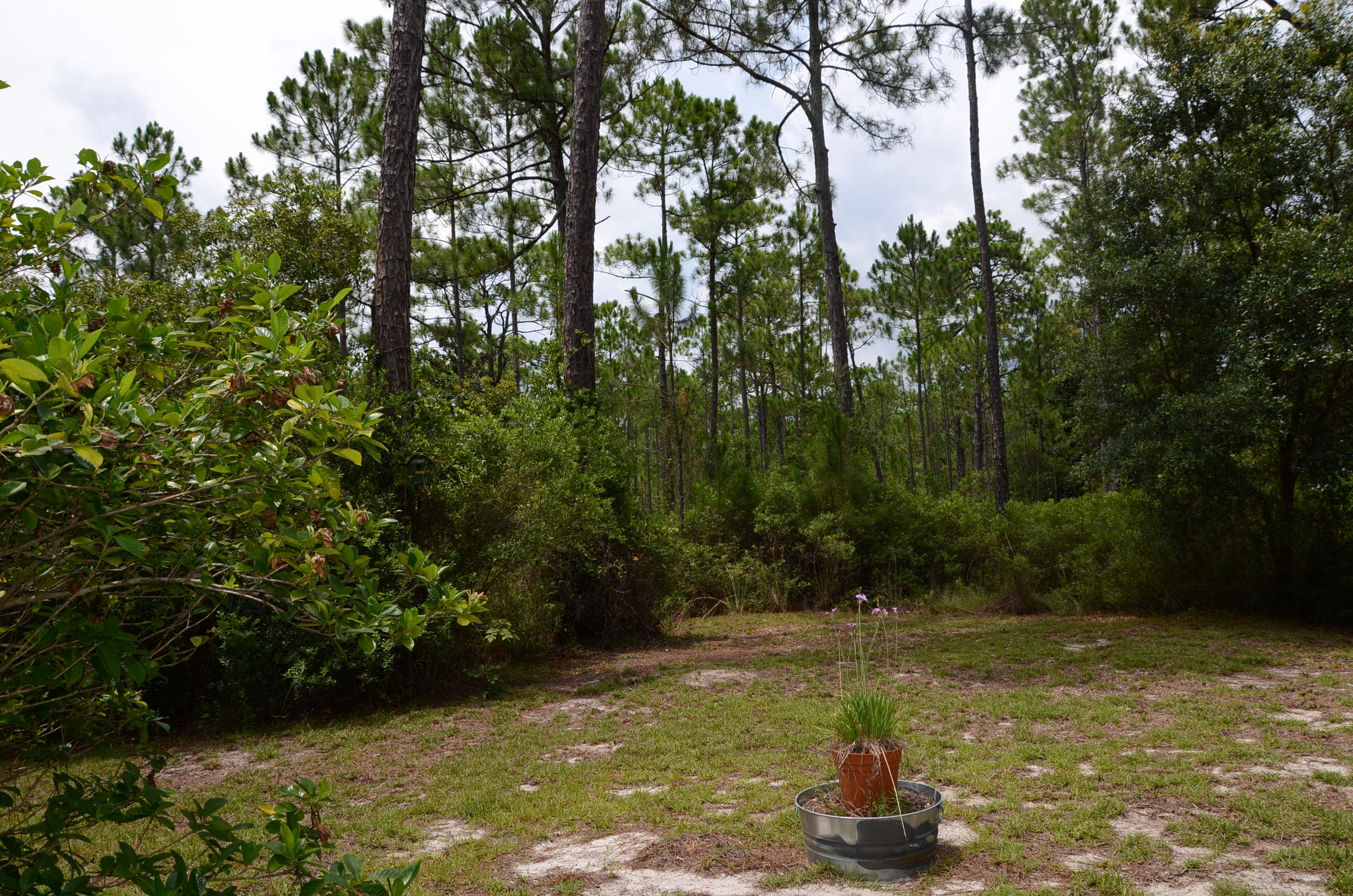 SANTA ROSA PLANTATION - Residential