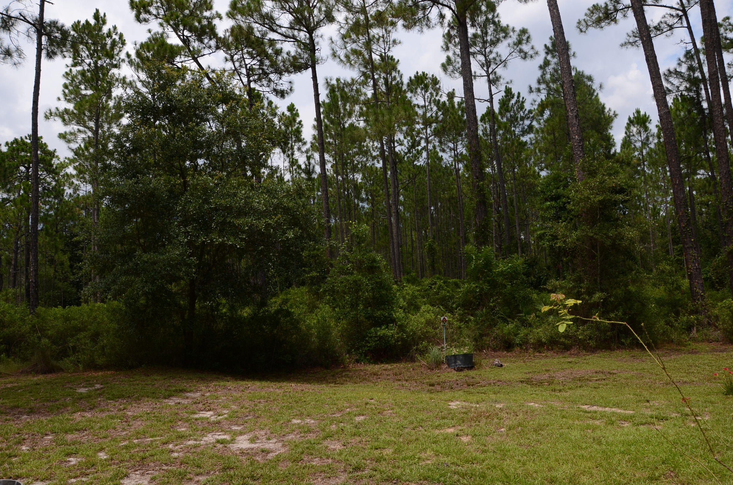 SANTA ROSA PLANTATION - Residential