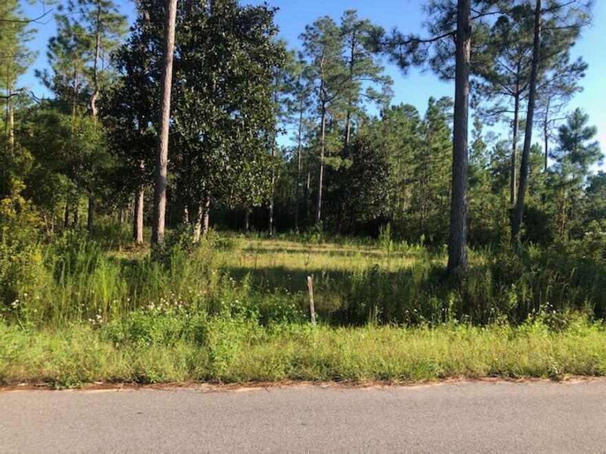 THIS 1.033 ACRE LOT IS PARTIALLY CLEARED AND THE WATER TAP ON LOT IS ALREADY PAID..