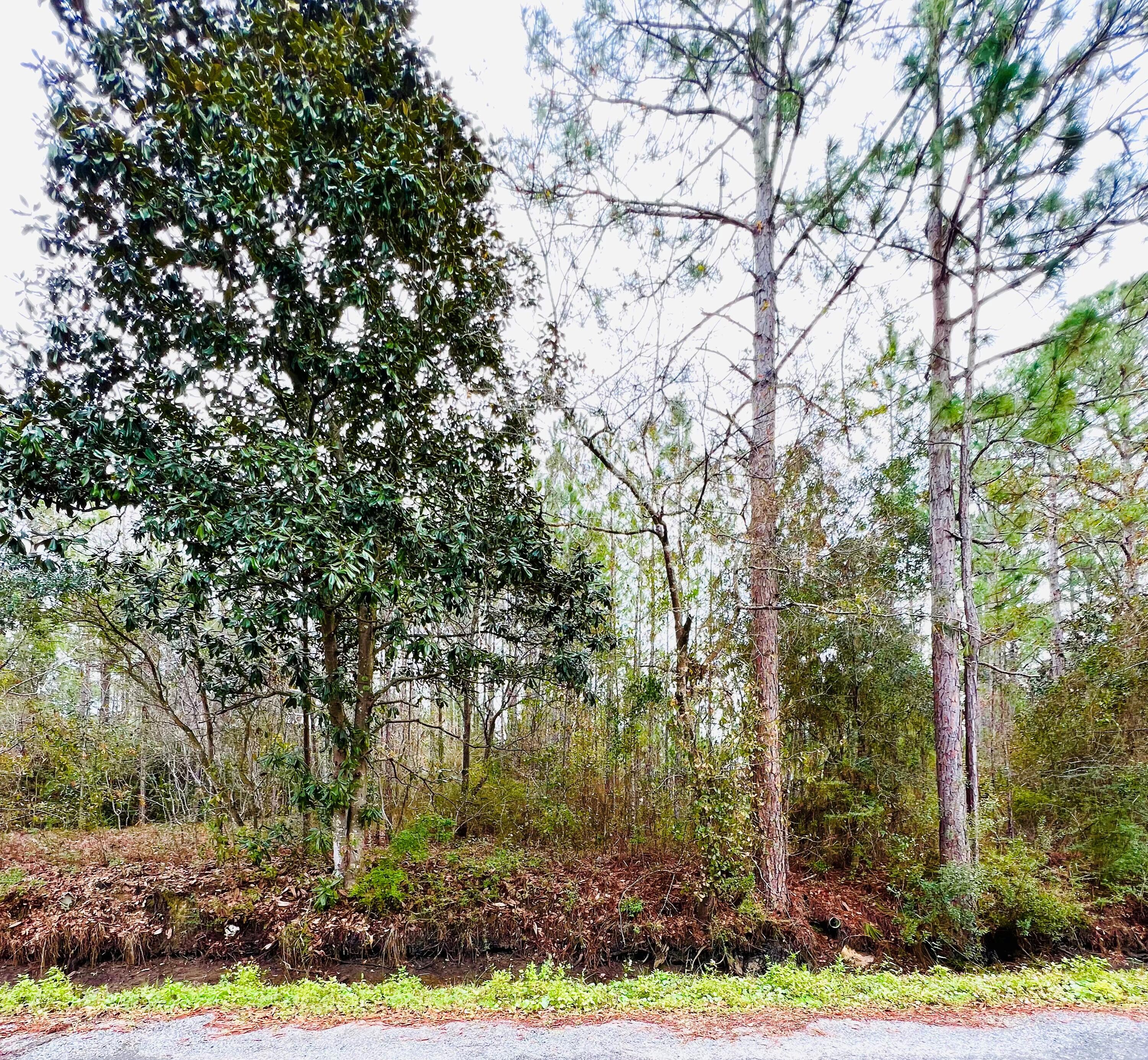 TOWN OF SANTA ROSA - Land