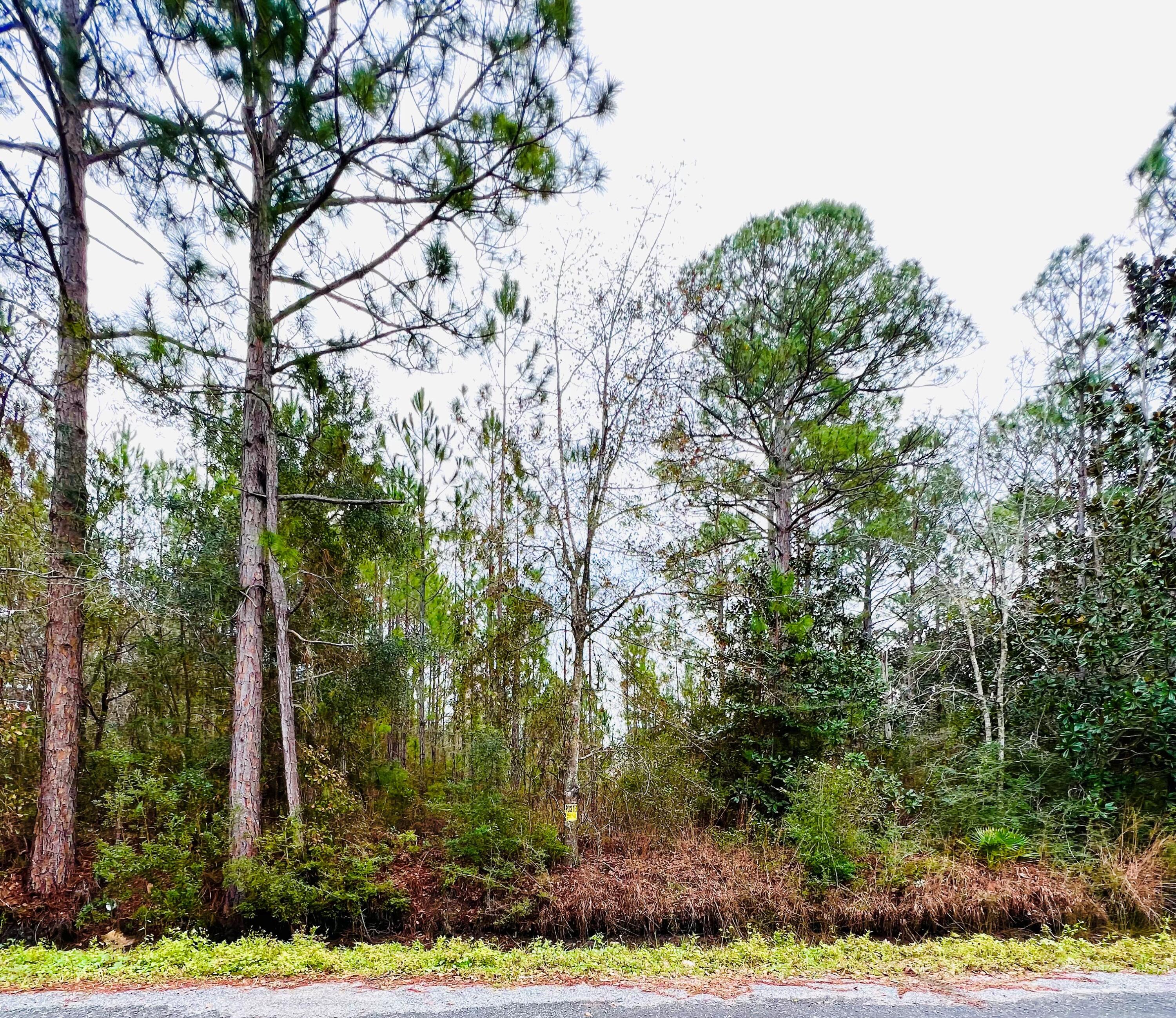 TOWN OF SANTA ROSA - Land