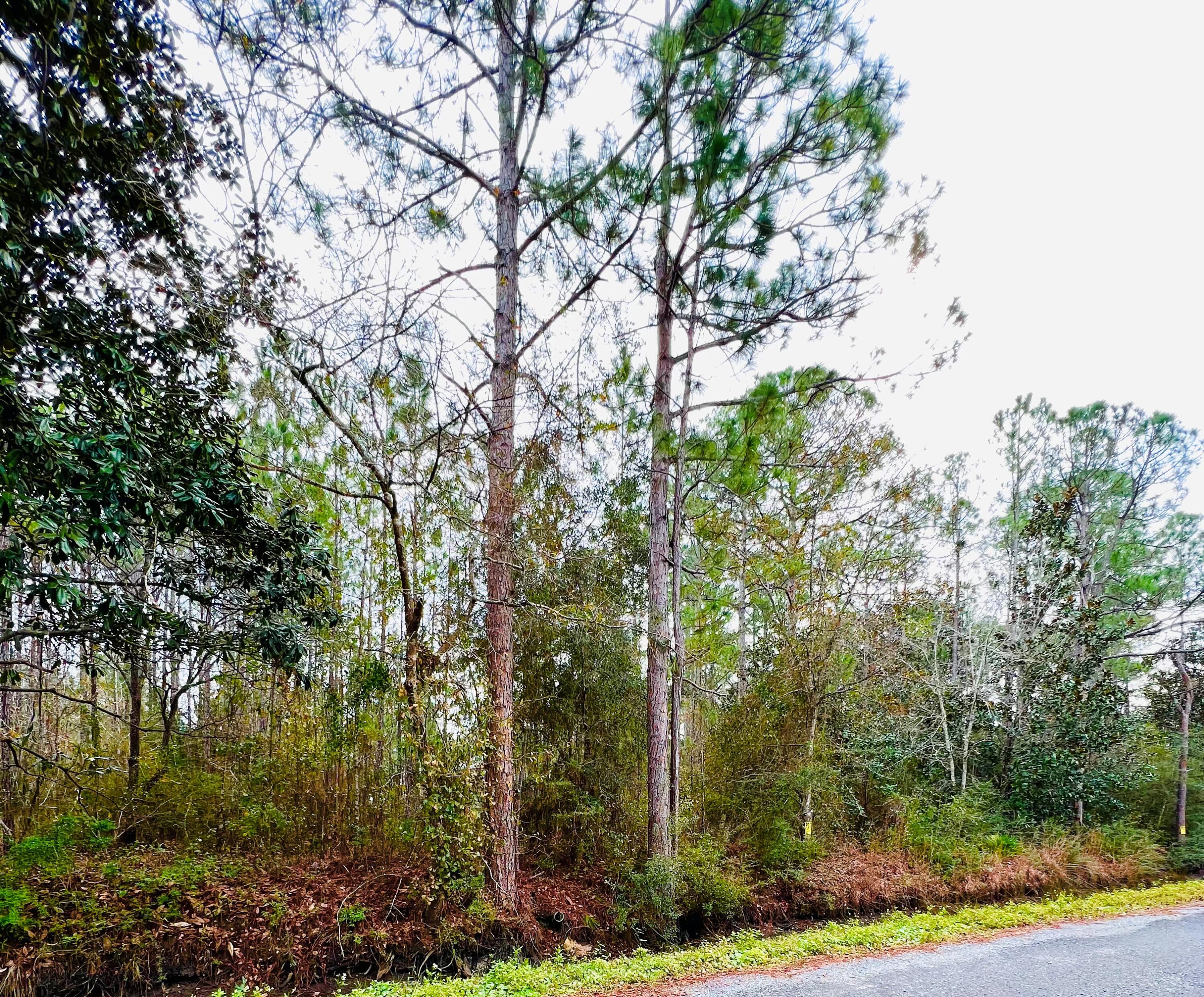 TOWN OF SANTA ROSA - Land