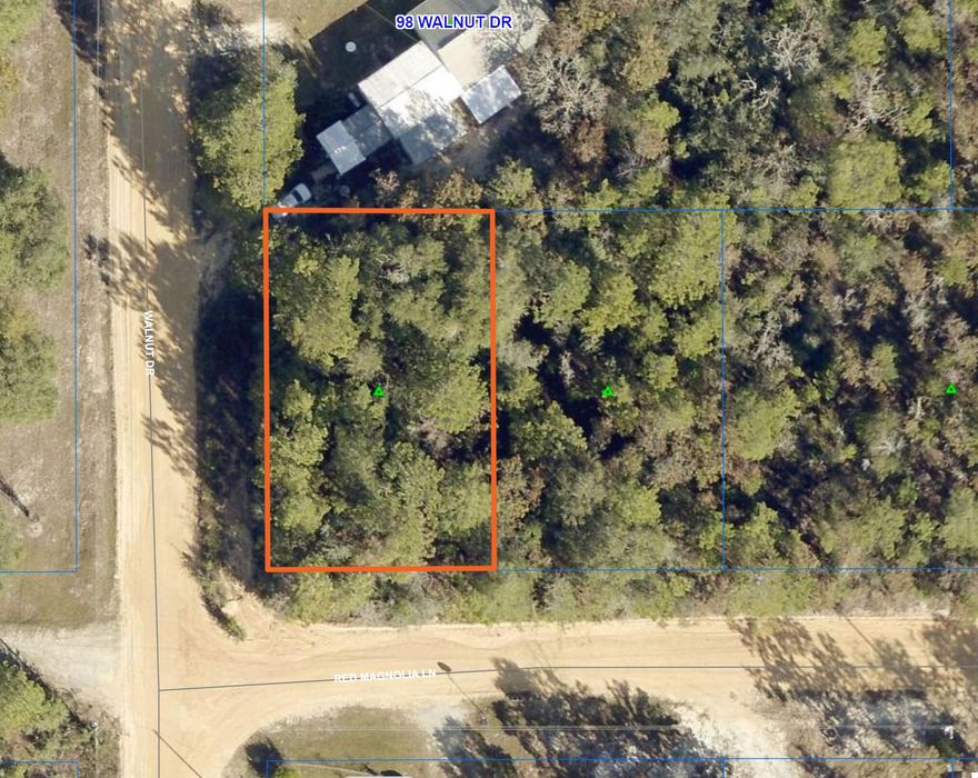 This nearly 1/4 acre lot is good flat land with a mix of mostly pinetrees and oaks. 125 ft of road frontage on Walnut Drive and 80 ft of frontage on Red Magnolia Lane. This corner lot allows you access from either road. Both roads are county maintained. No homeowners association. Mobile homes allowed. Public water is available through Mossy Head Water but the tap fee will be due.Easy access to Highway 90 for traveling to DeFuniak Springs or Crestview.