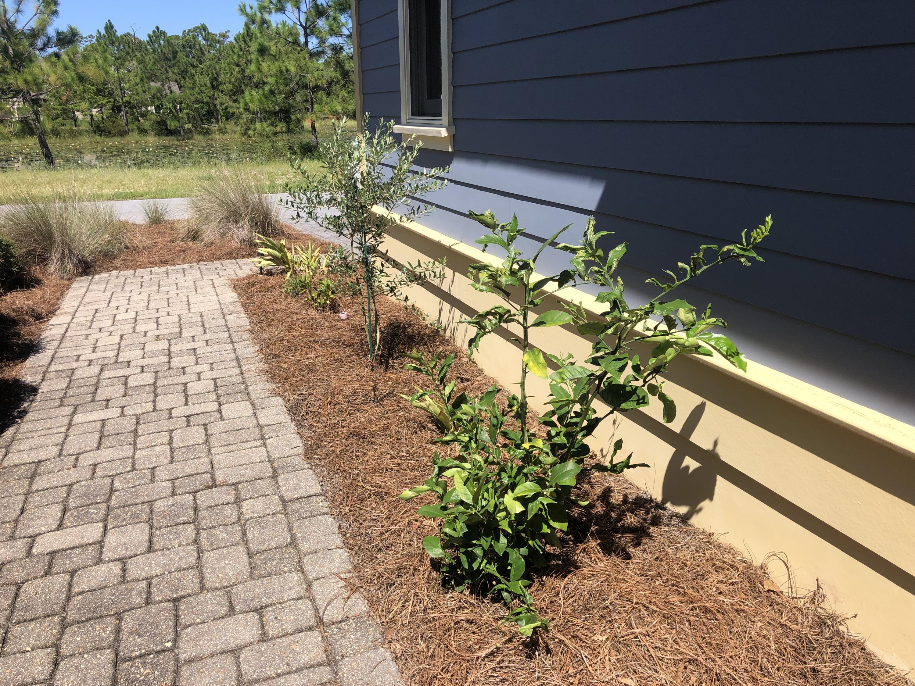 WILD HERON PHASE II - Residential