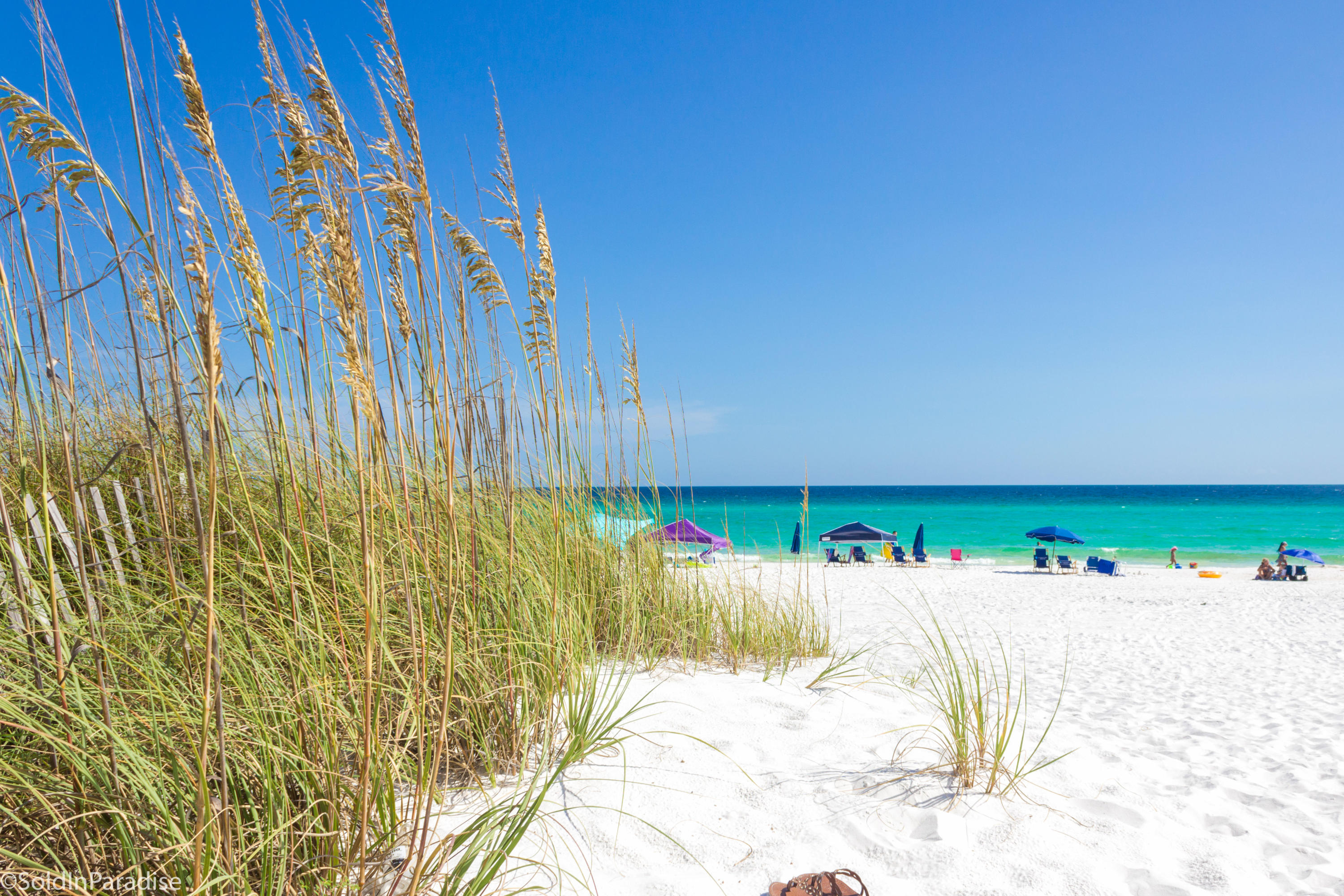 SEACOVE CONDO - Residential