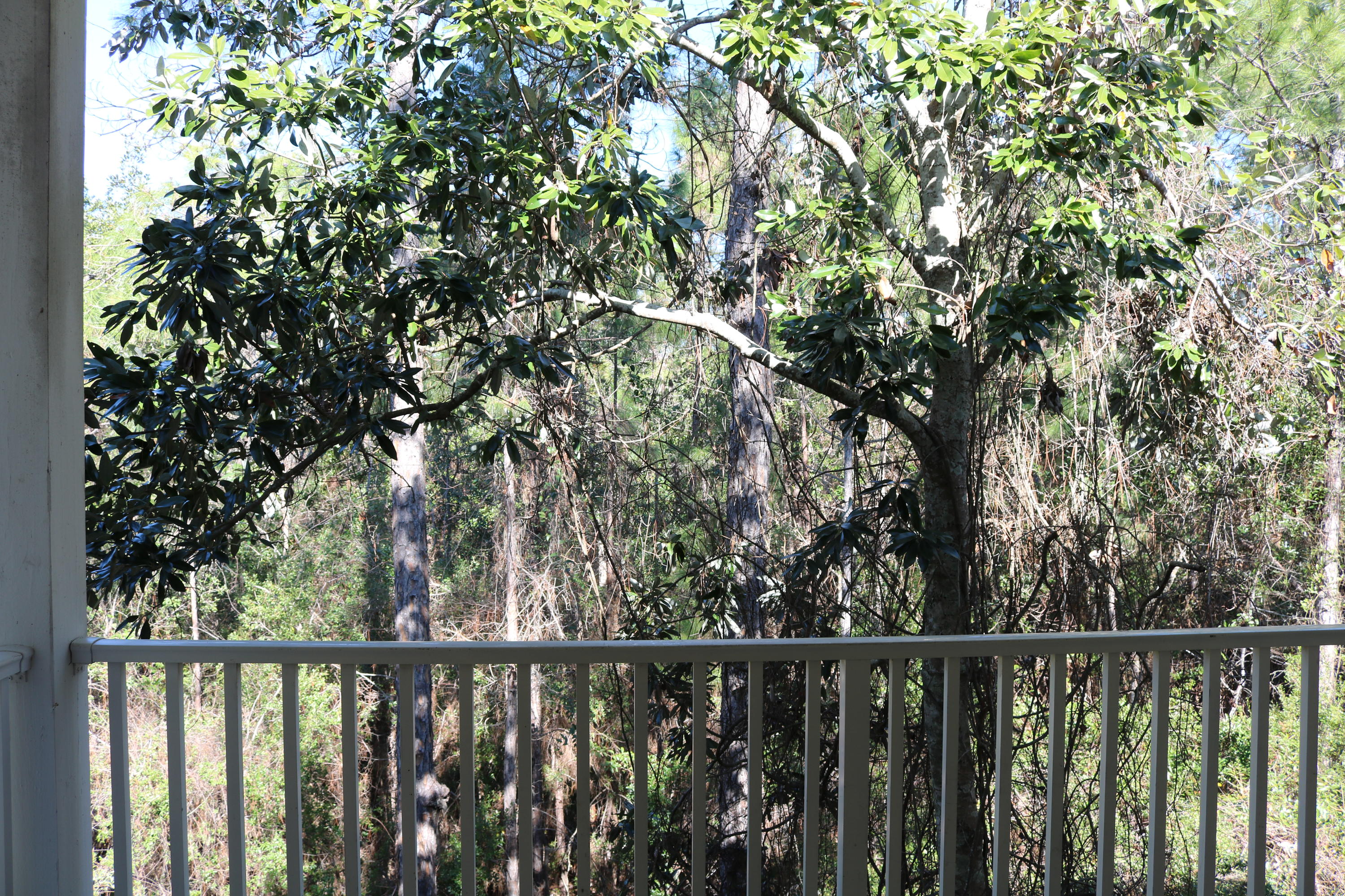 POINTE OF VIEW CONDO - Residential