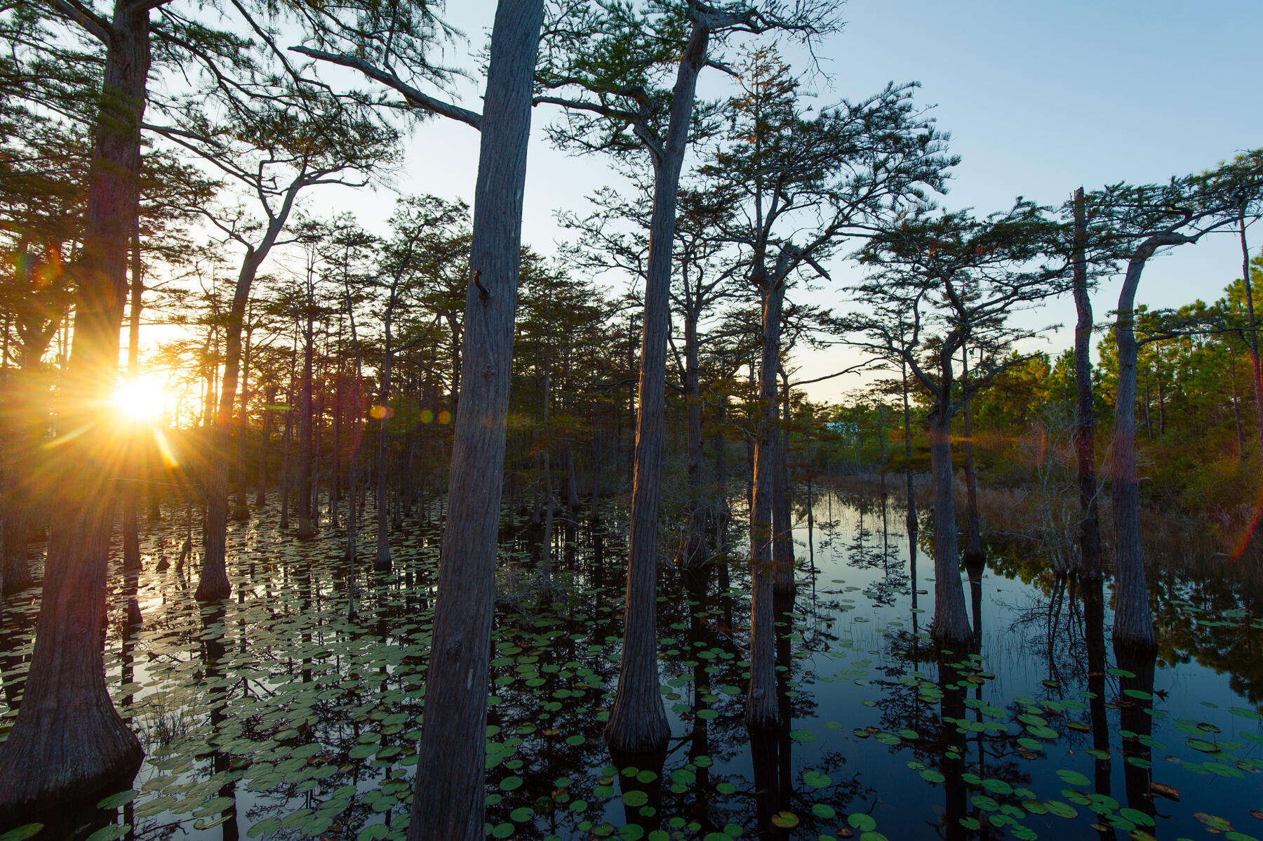 CYPRESS DUNES - Land