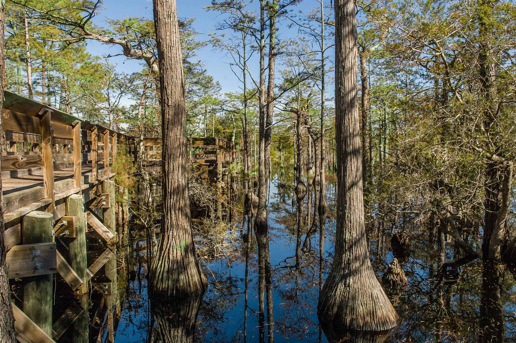 CYPRESS DUNES - Land
