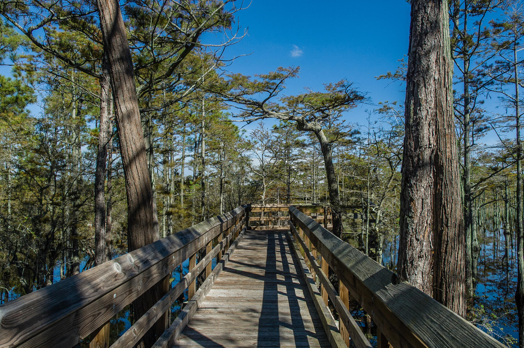 CYPRESS DUNES - Land