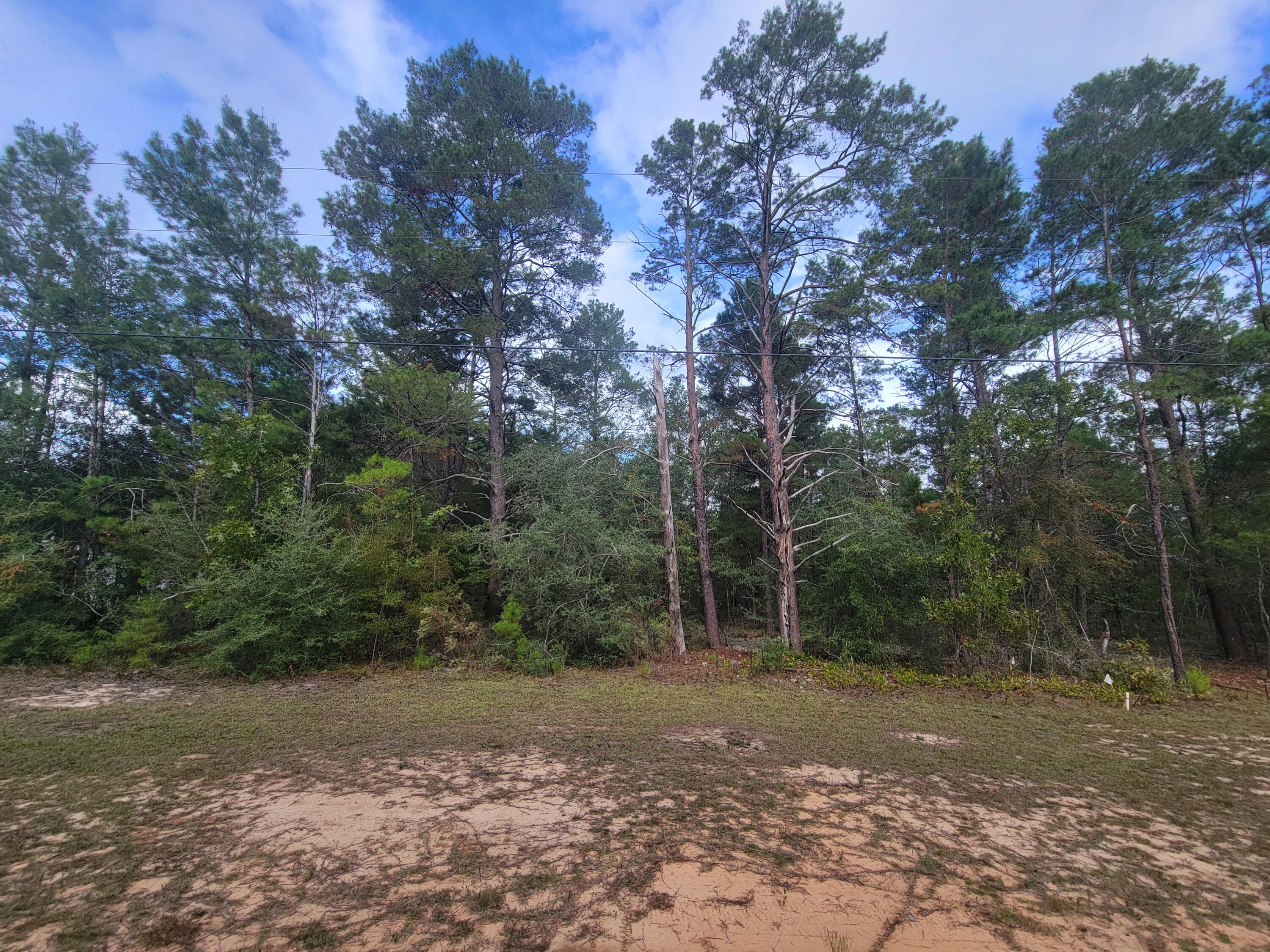 2 beautiful wooded back-to-back.   You will need a well and septic and power pole.  Manufactured homes are allowed.  Others lots available in the same area. MLS #962917 and  MLS #963023 and MLS 963028, MLS #963023 and MLS #963088 and MLS #963089