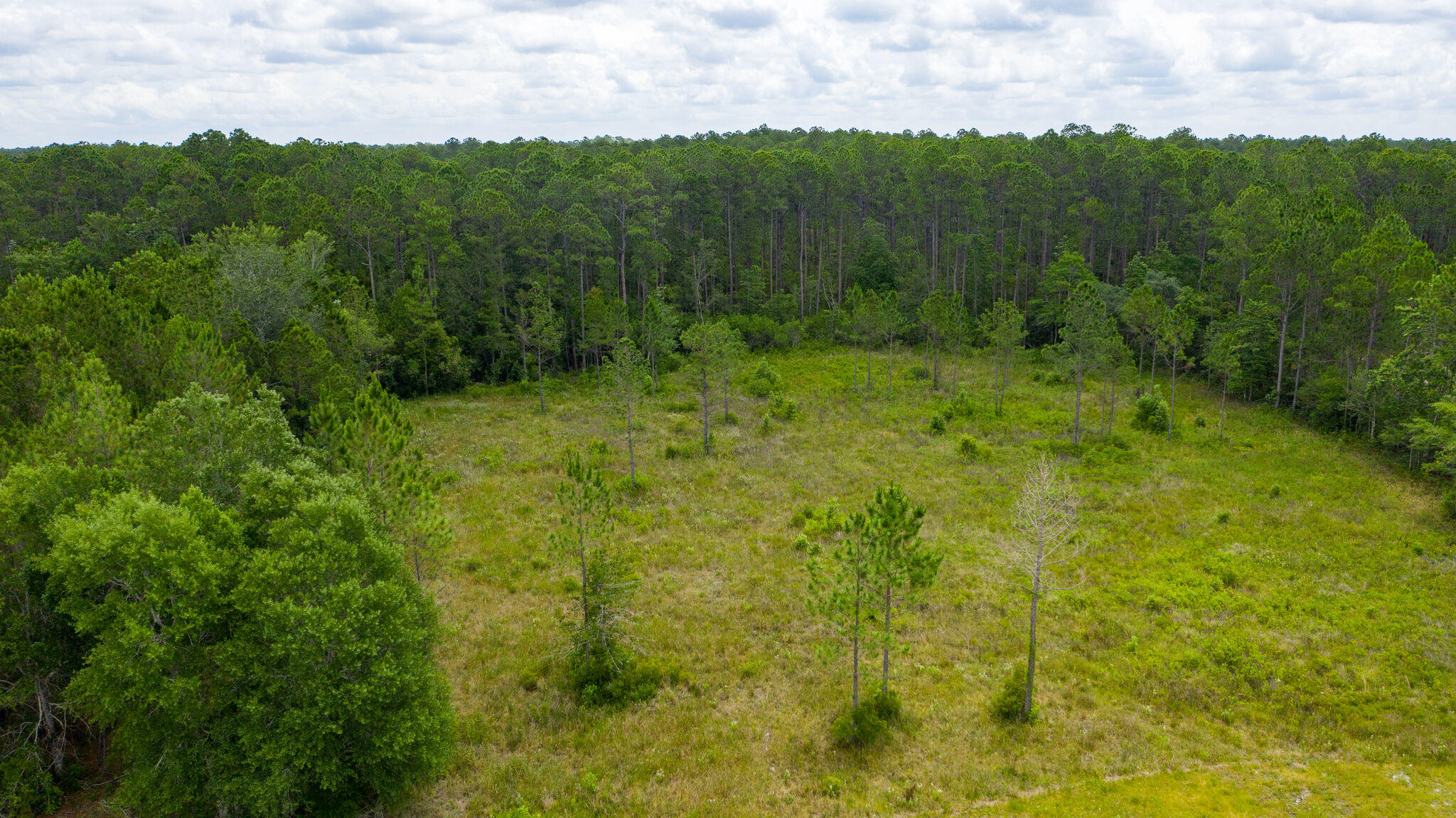 Great opportunity in excellent location on the newly four-laned HWY 331 S. This Commercial lot offers 350 ft of frontage located on one of the busiest roads in Freeport, one of the fastest growing cities in the US. This lot will be a peak point of accessibility to all traveling to or from South Walton county. Minutes from the world's most beautiful beaches, fine dining, and shopping, this is the prime piece of land to build on. Possible allowed commercial uses include: storage, offices, professional services, storefront retail shopping, neighborhood grocery, banks, bakeries, cafes and restaurants without drive-thru windows. All measurements are approximate. Buyer to verify all pertinent information to their satisfaction.