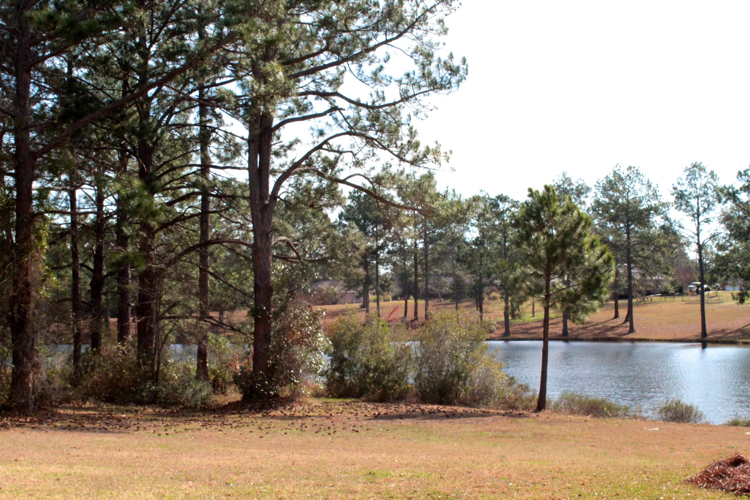 TEN LAKE ESTATES UNIT 2 - Residential