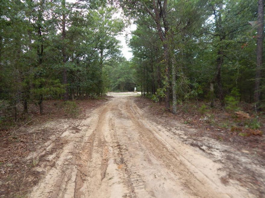 4.7 acre site in a great location. There was a mobile home on the property. This also means that the land will come with all the utilities in place. There is public water to the home site, a working septic system. The land is being sold as is but this could make a great home site for a new home, a camping retreat or an investment property. The property is left all natural, is level and high & dry. The owners placed a new mobile home there in 2007 and had it professionally removed in 2017. Leaving all the utility hook ups and taps. They pumped the septic in 2016 and it was working great up to the removal of the home in 2017.Take a look at this property before it is sold.