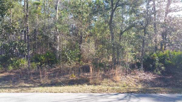 EMERALD SHORES - Land