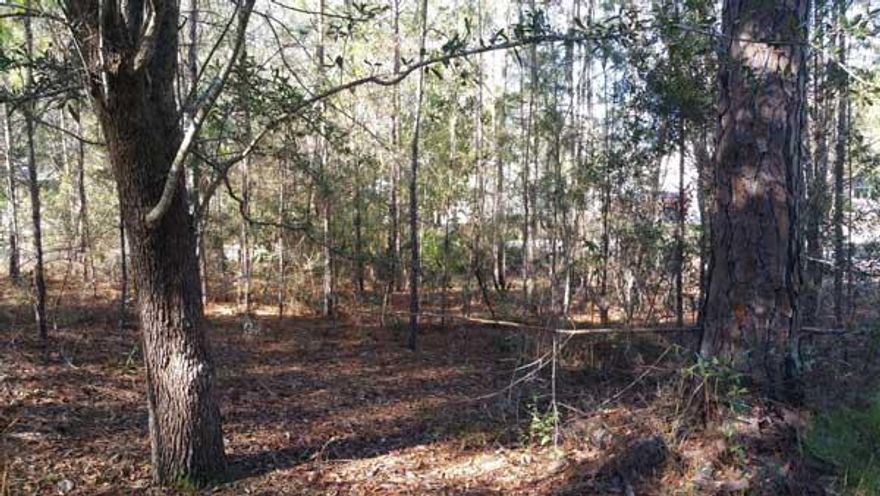 Here's your chance to own a nicely wooded +/- 0.26 acre building lot in Well-established Emerald Shores. With easy access to South Walton's beaches, Multiple public boat ramps, The Shoppes at Freeport, and everywhere else that the area has to offer, it's an ideal spot for your dream home! For ease of construction, this rectangular shaped level lot is located in Flood zone X.