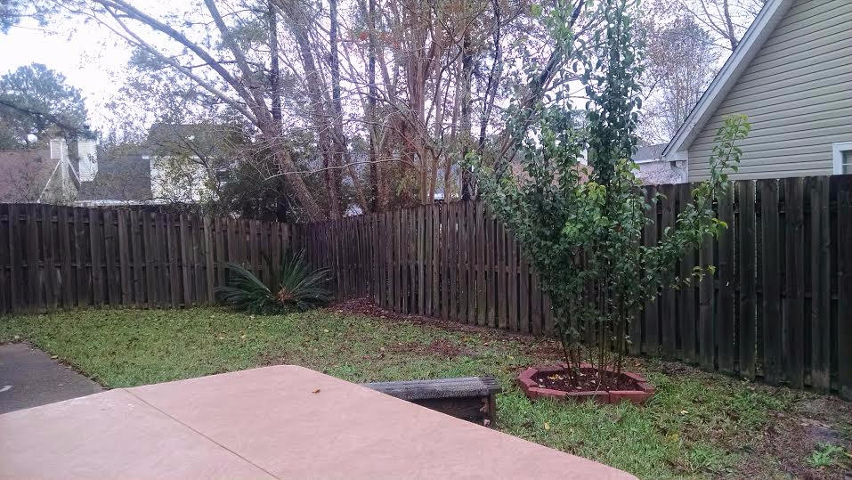 LAKE CHARLESTON - Residential