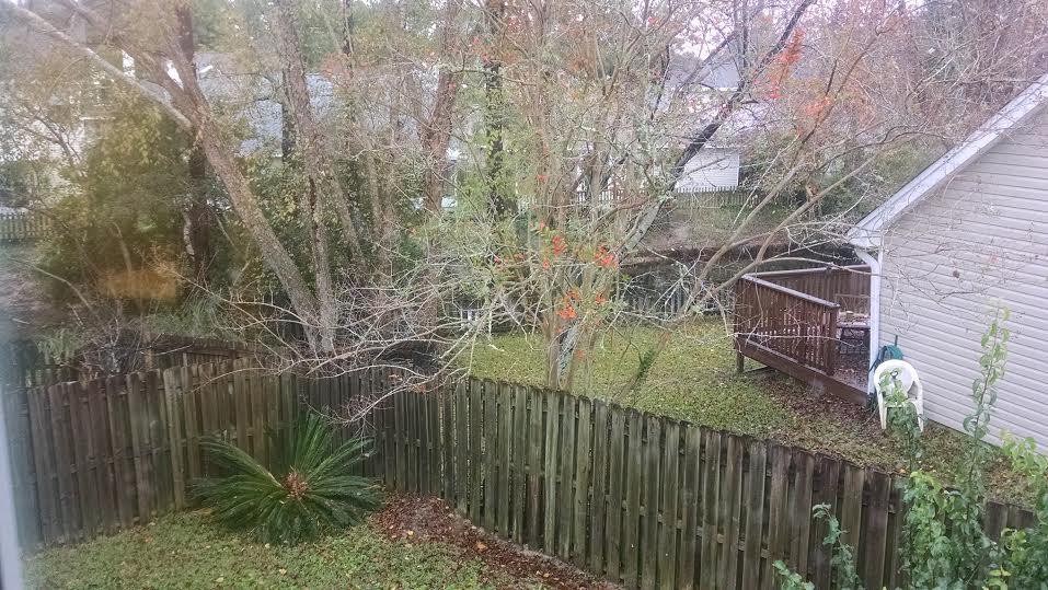 LAKE CHARLESTON - Residential