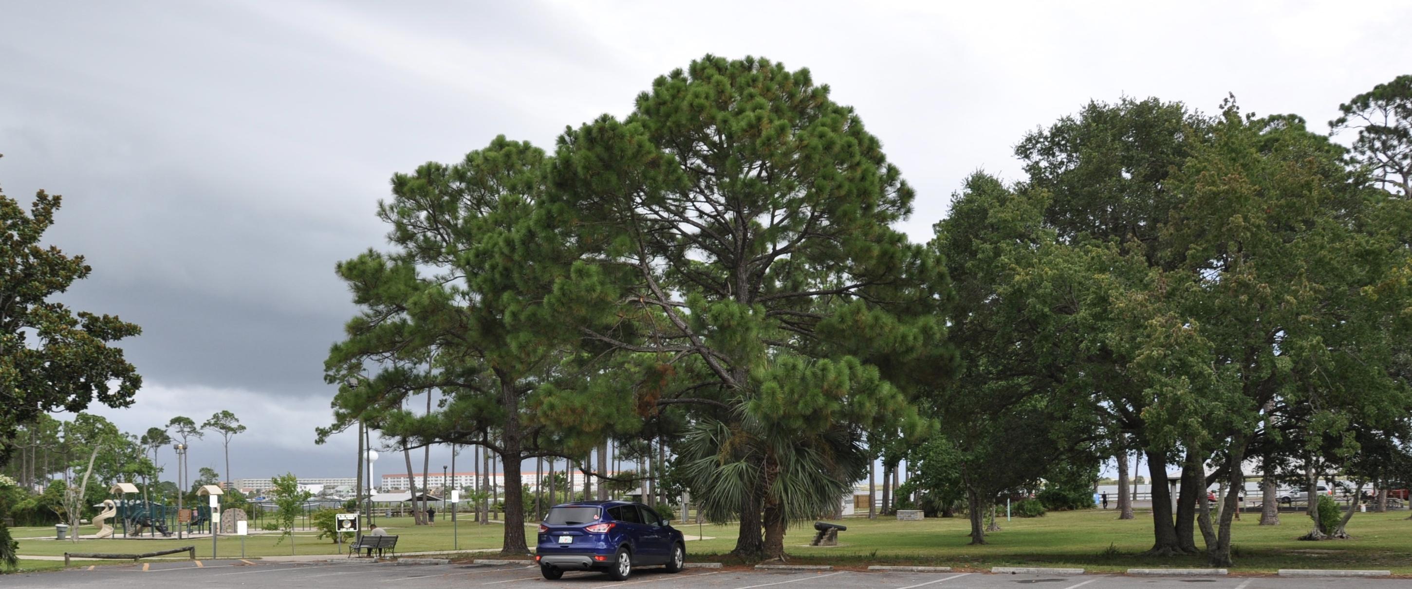 BLUE DOLPHIN CONDO - Residential