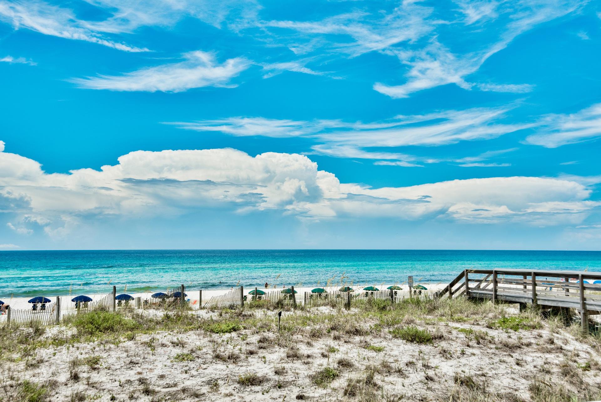 BLUE DOLPHIN CONDO - Residential