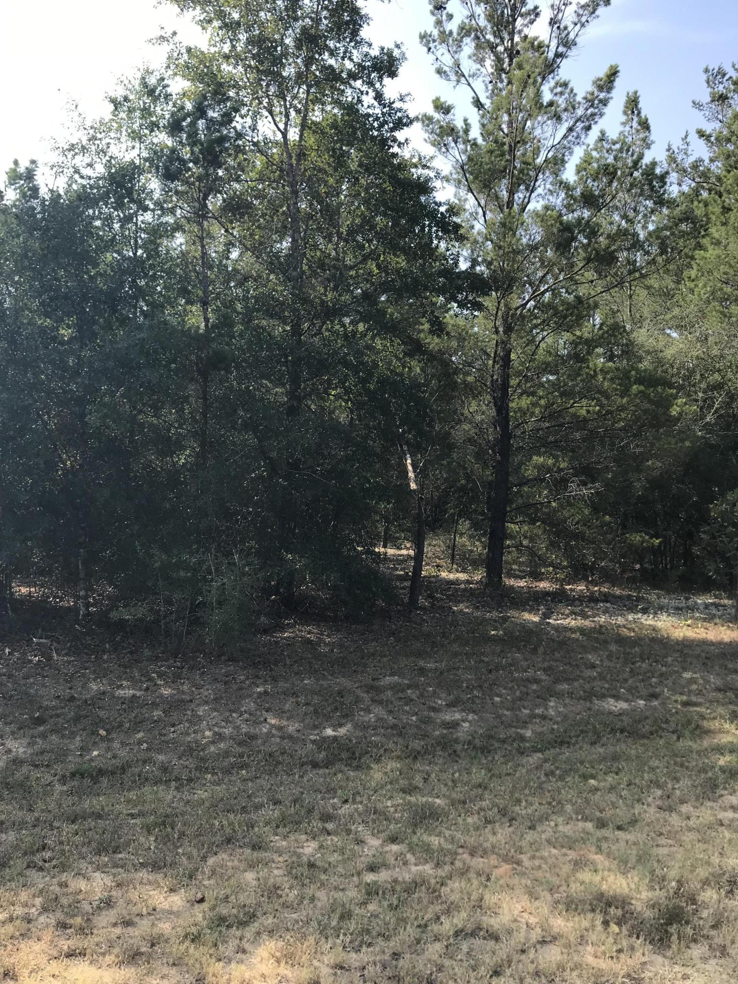 Nice wooded lot in Mossy Head. Right around the corner from the Dollar Store.Build your new house or put your favorite mobile home on this great lot.