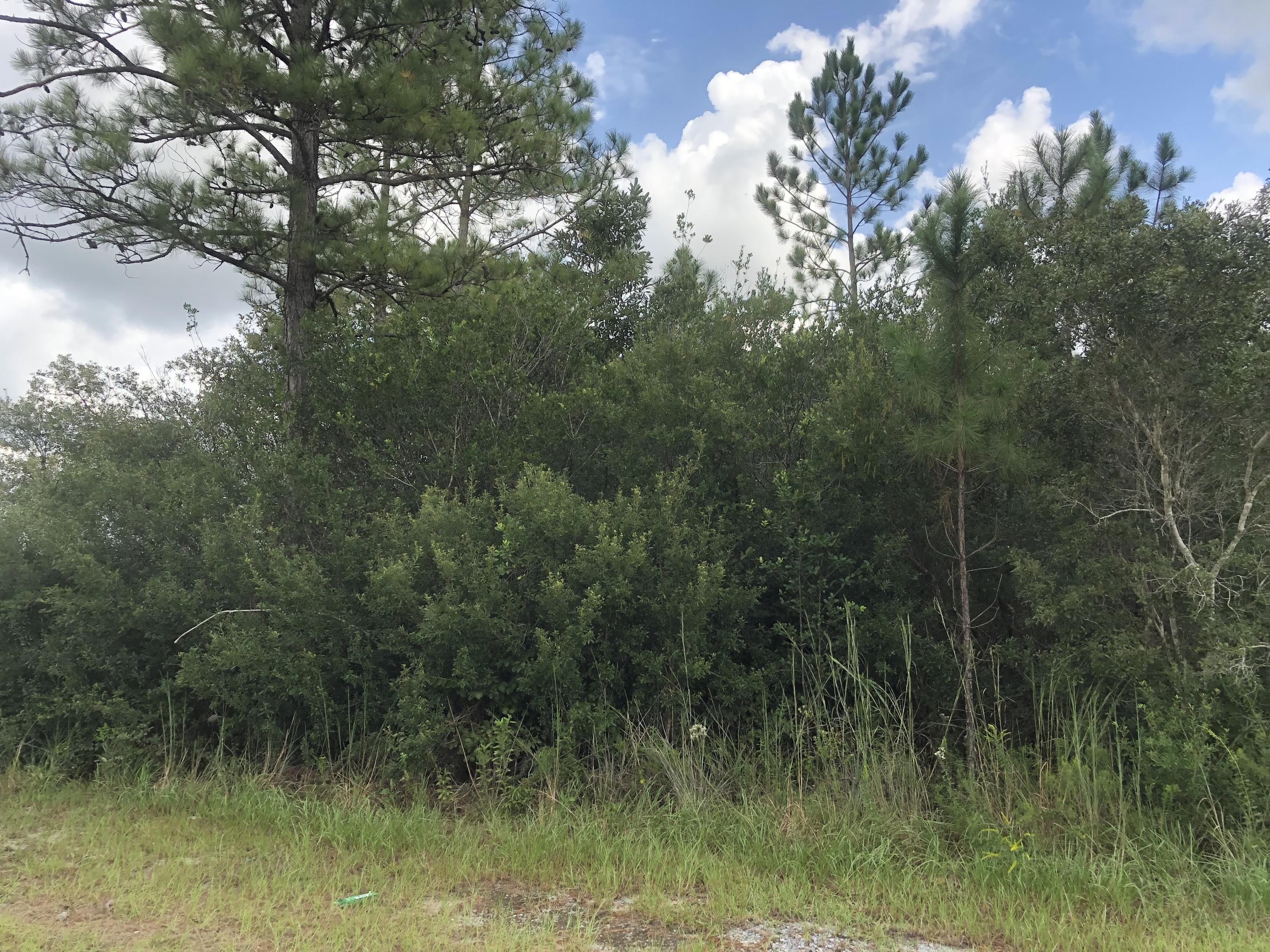 INDIAN CREEK RANCHETTES UNREC - Land