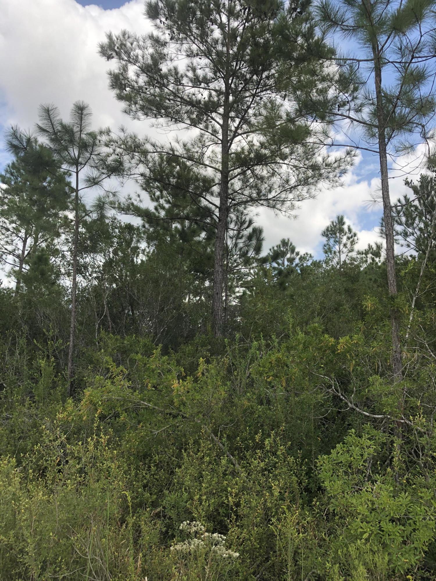 INDIAN CREEK RANCHETTES UNREC - Land