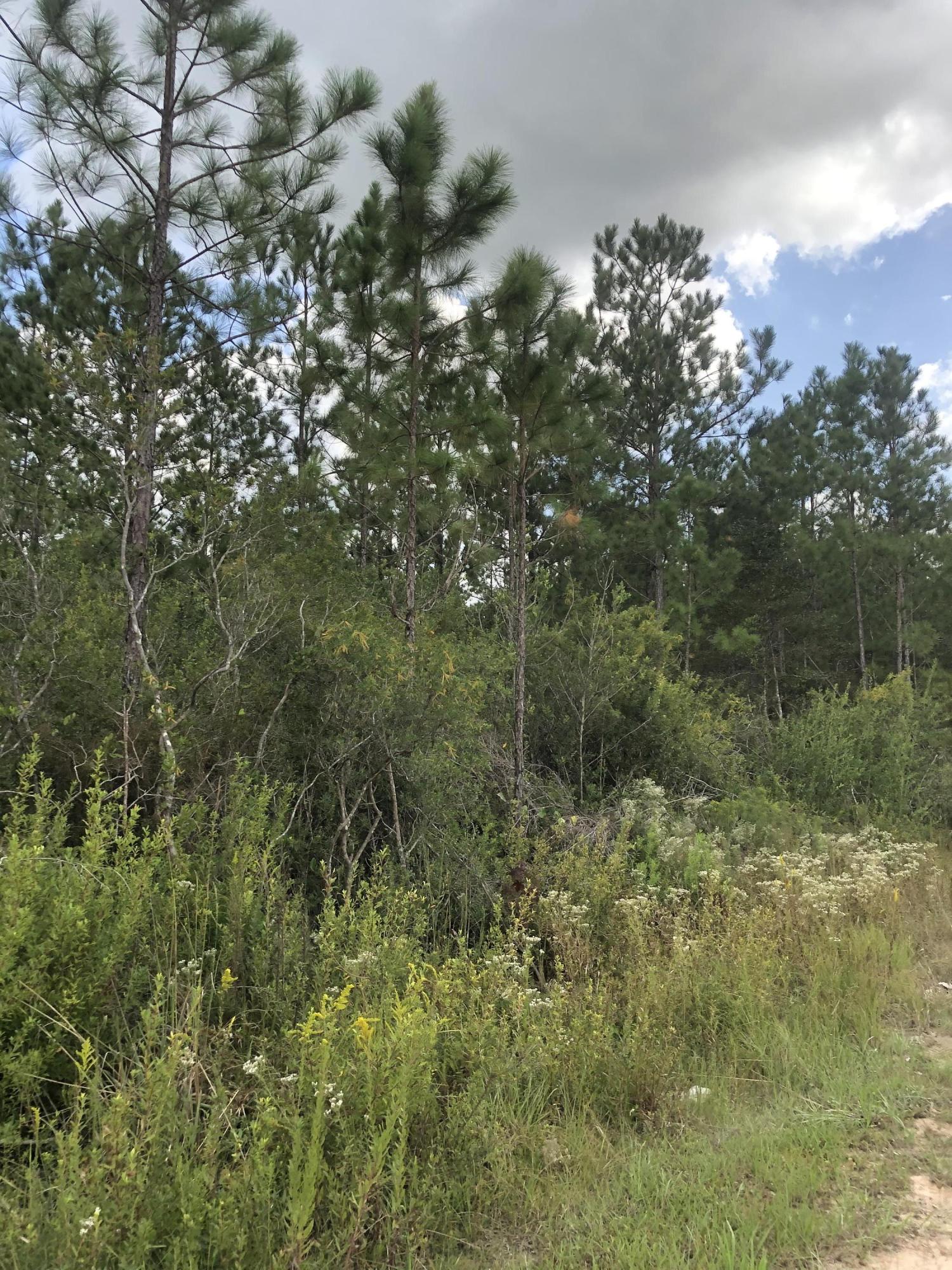 INDIAN CREEK RANCHETTES UNREC - Land