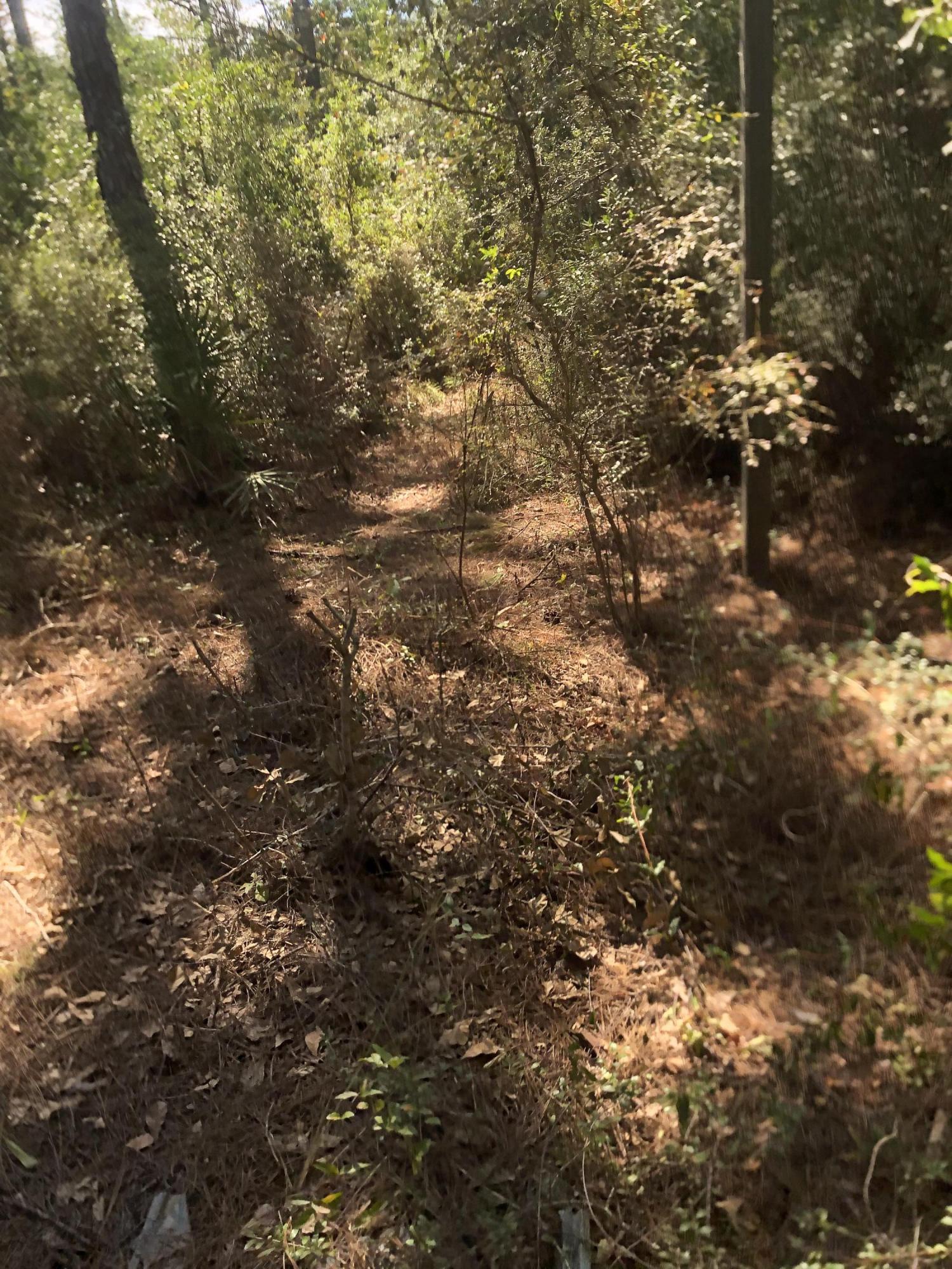 INDIAN CREEK RANCHETTES UNREC - Land