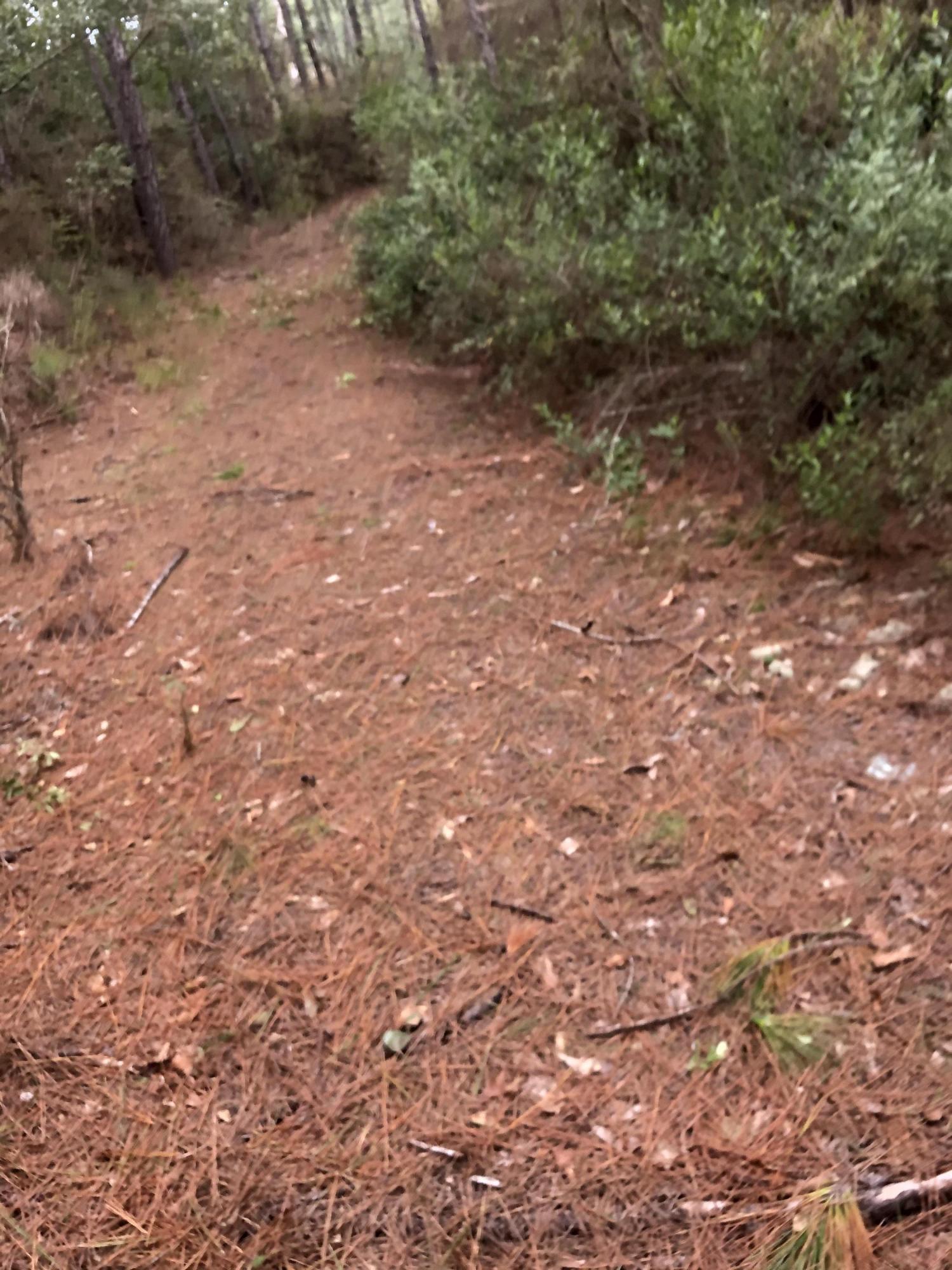 INDIAN CREEK RANCHETTES UNREC - Land