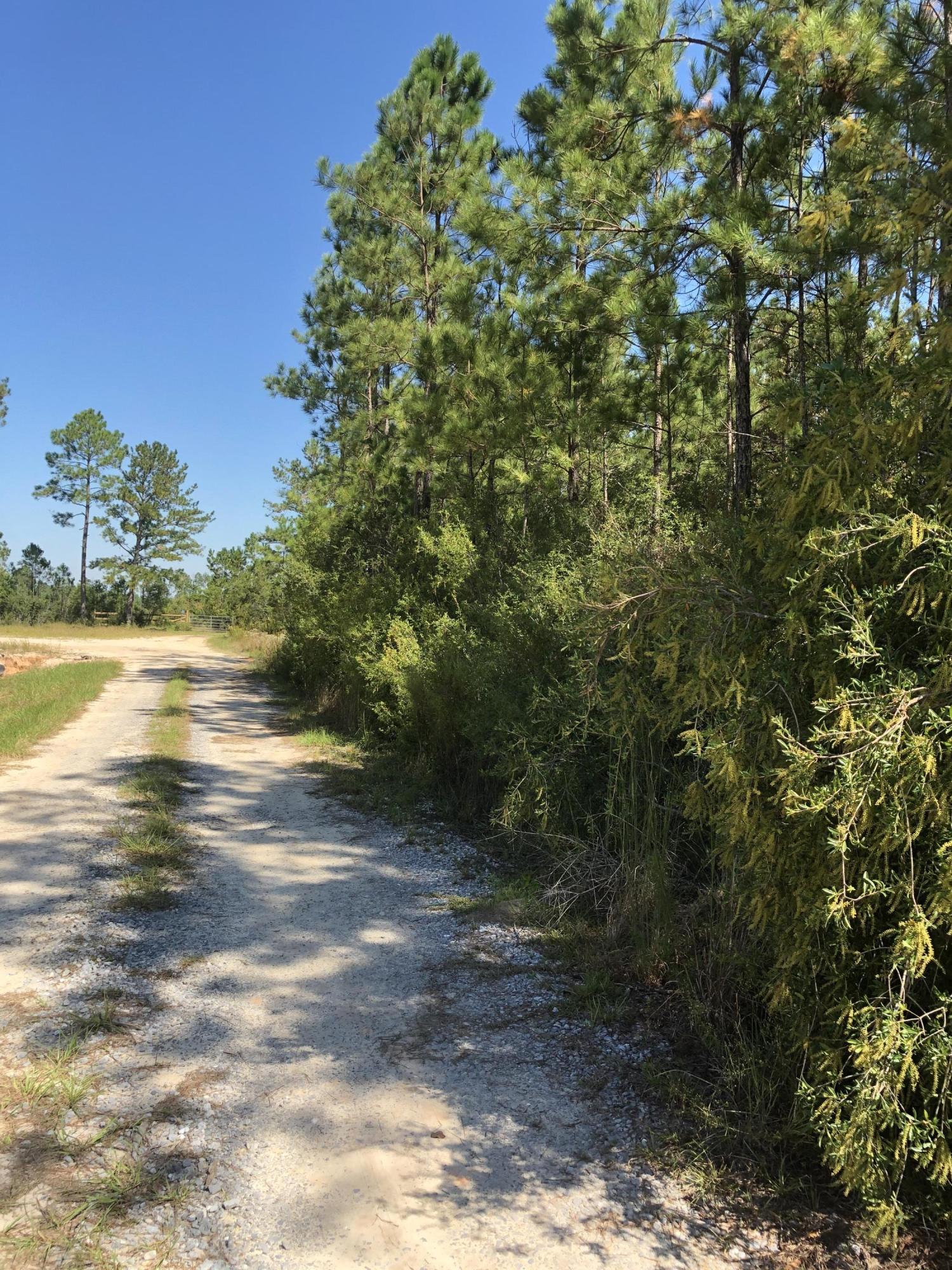 INDIAN CREEK RANCHETTES UNREC - Land