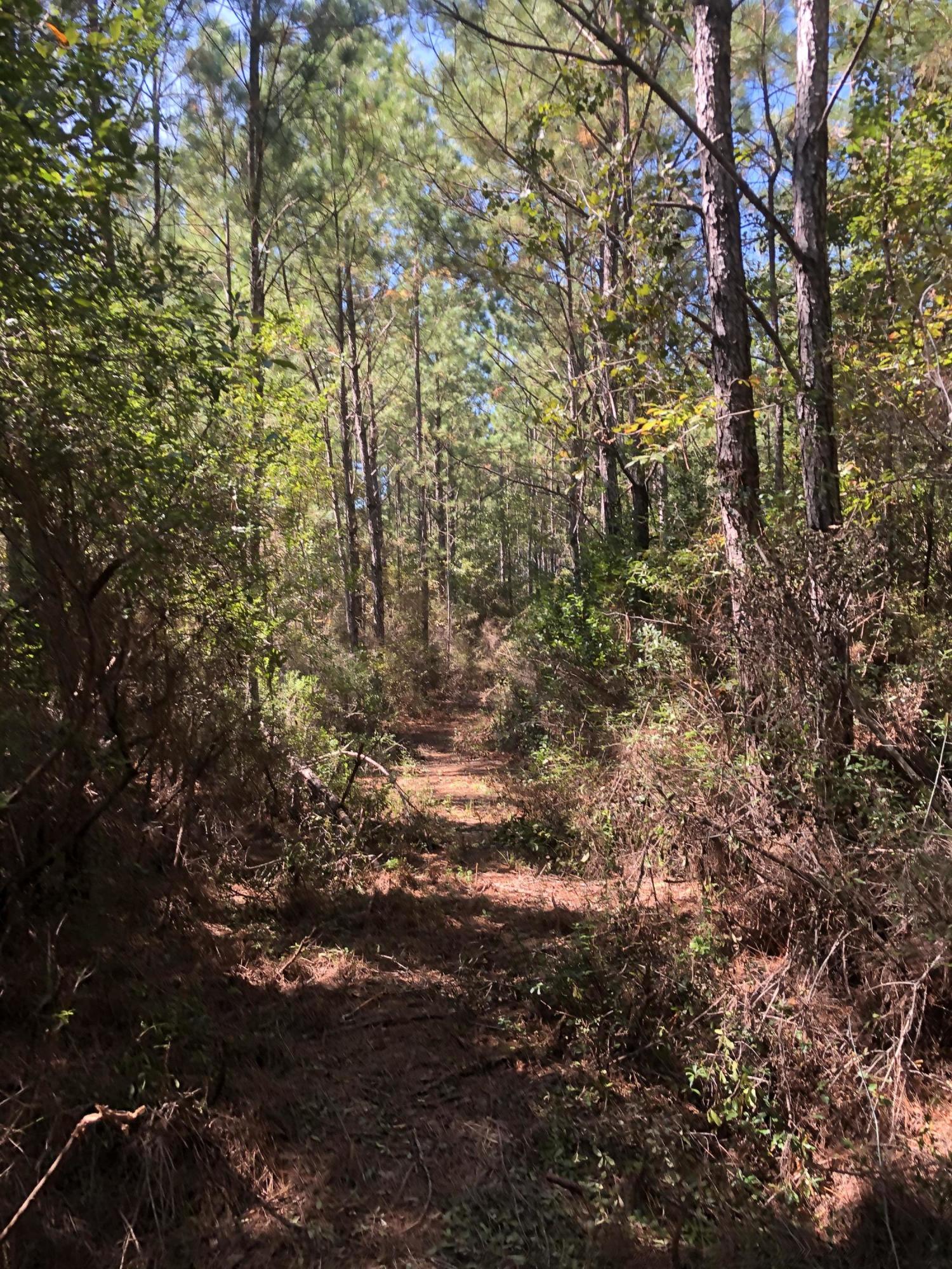 INDIAN CREEK RANCHETTES UNREC - Land