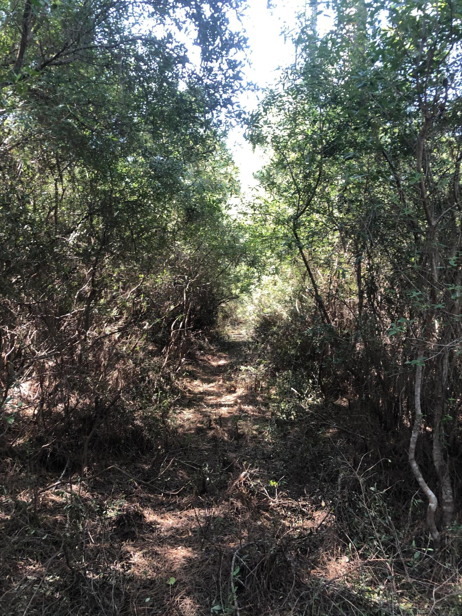 INDIAN CREEK RANCHETTES UNREC - Land