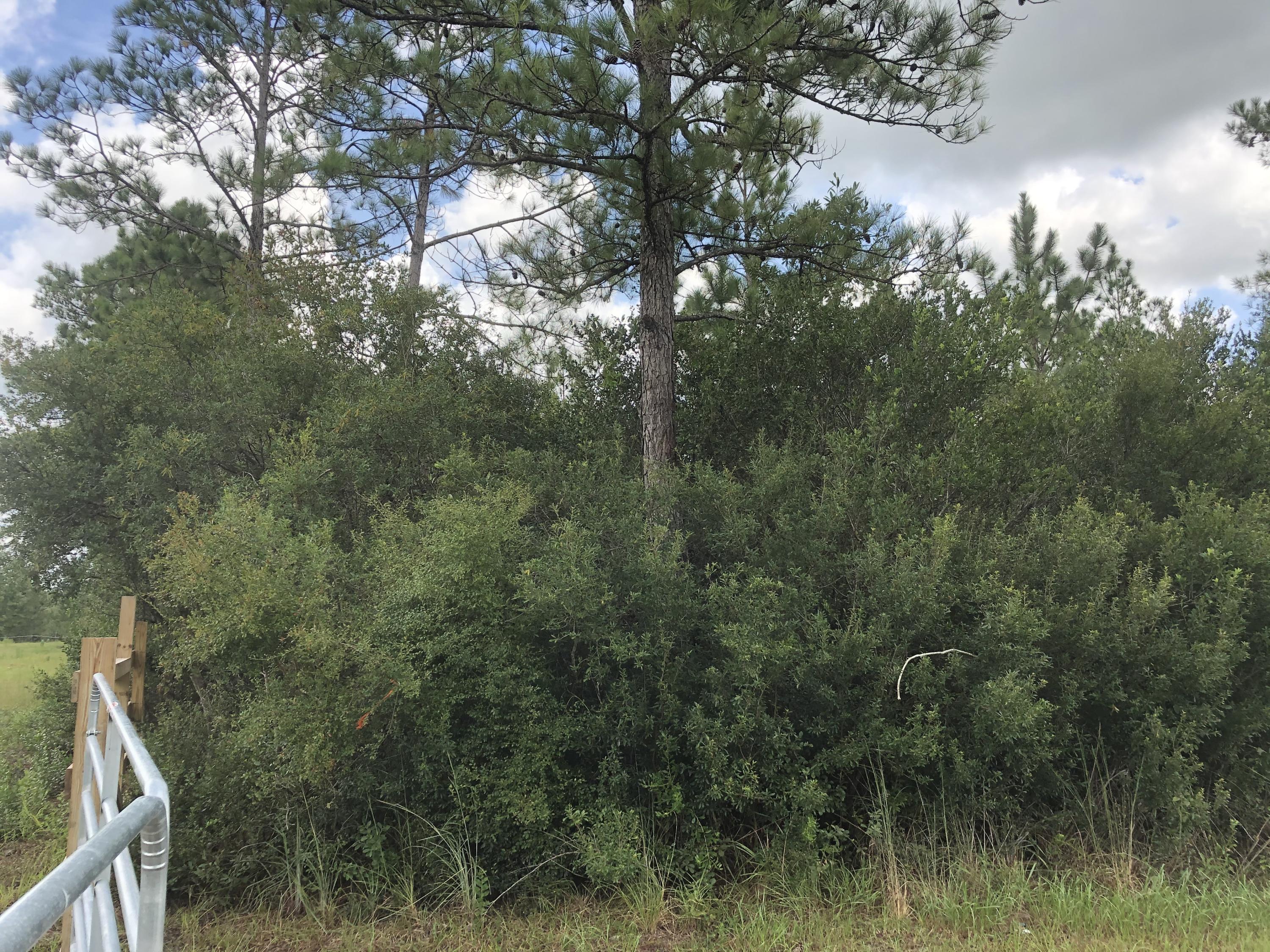 INDIAN CREEK RANCHETTES UNREC - Land