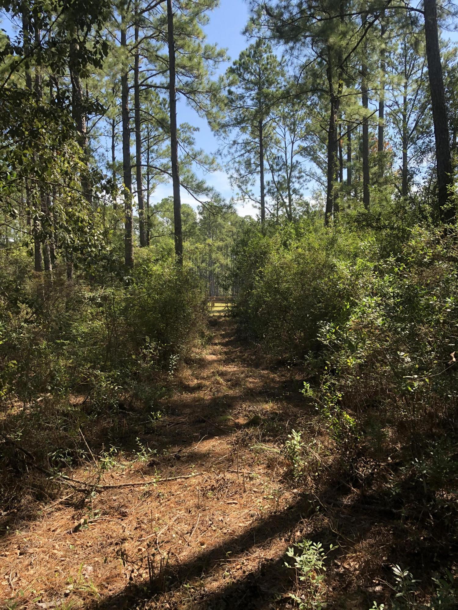 INDIAN CREEK RANCHETTES UNREC - Land