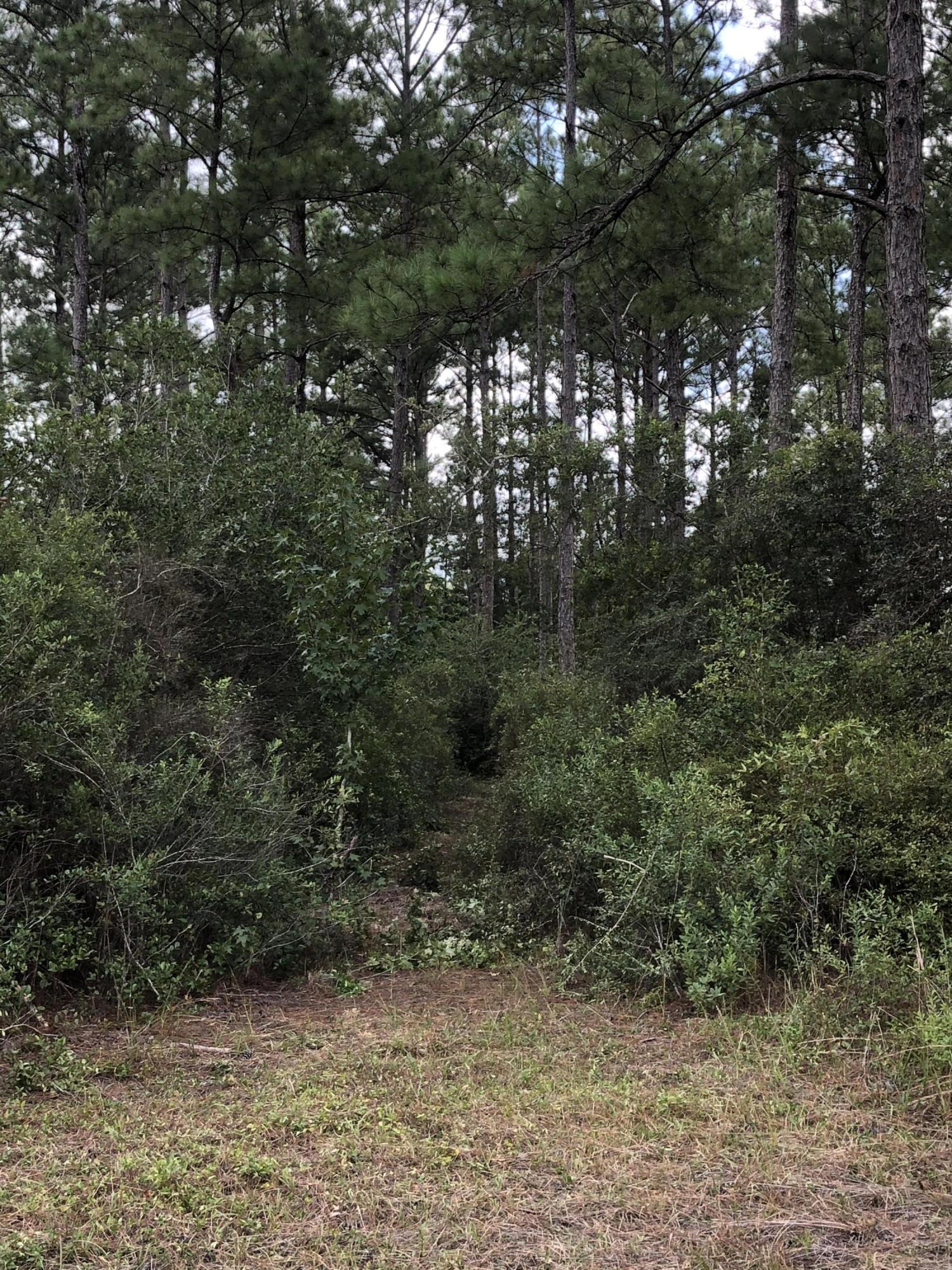 INDIAN CREEK RANCHETTES UNREC - Land